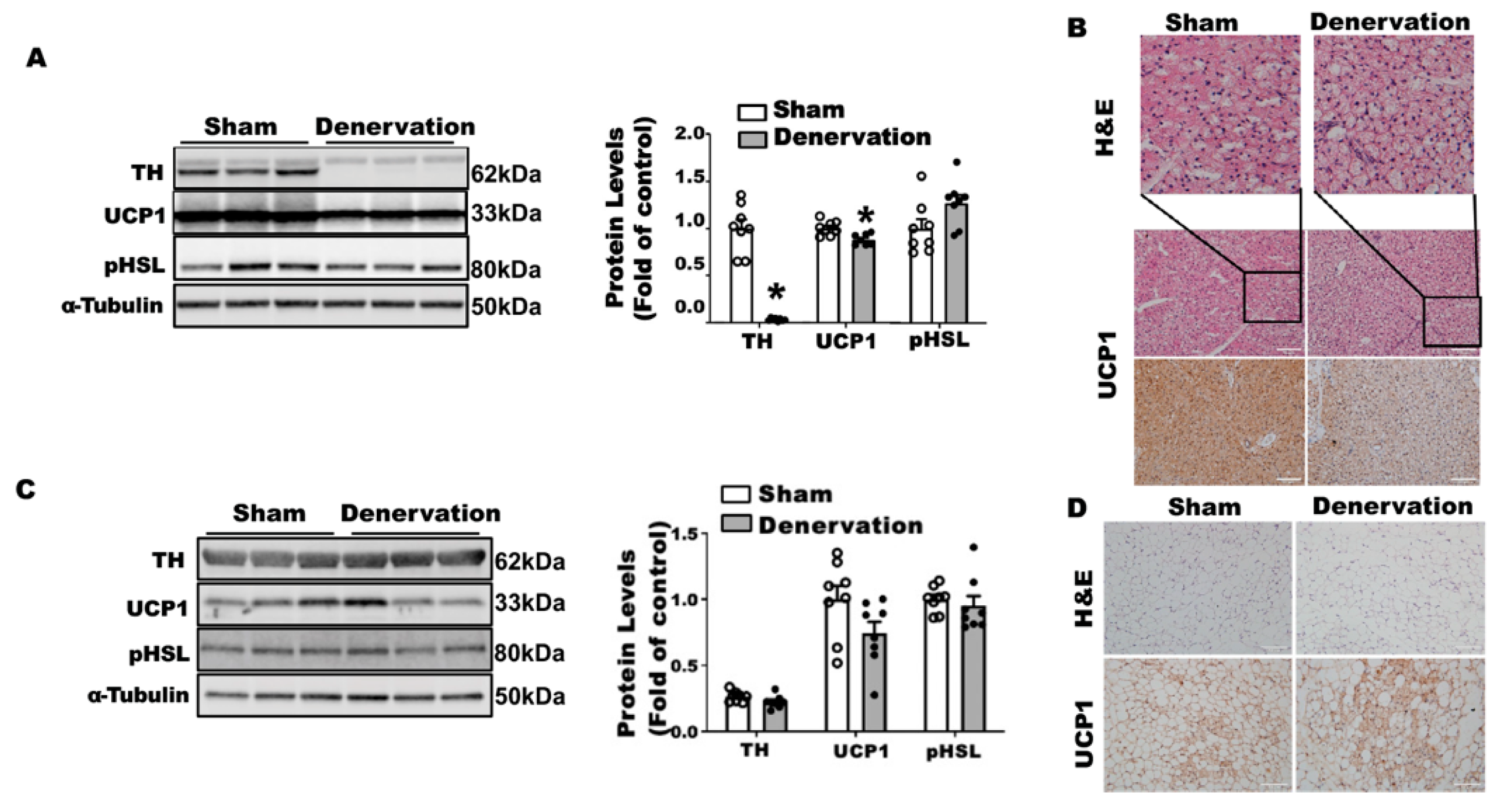 Biomolecules 11 01428 g005