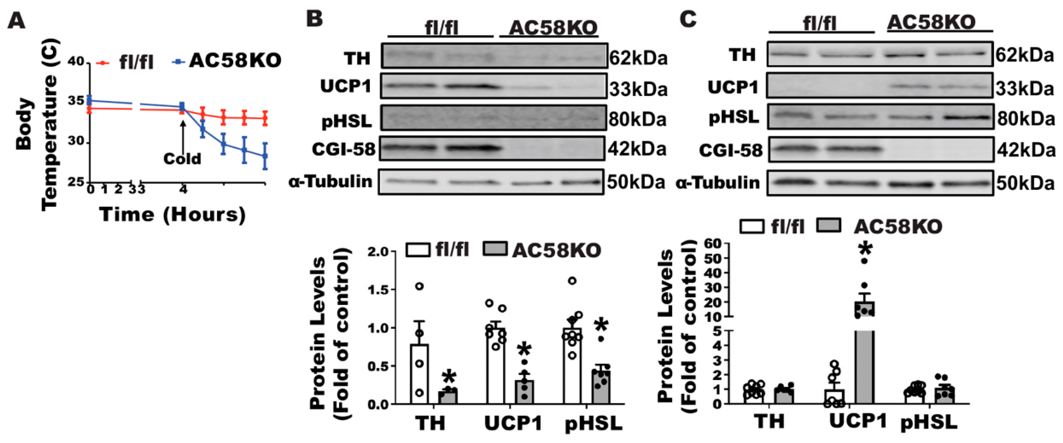 Biomolecules 11 01428 g008