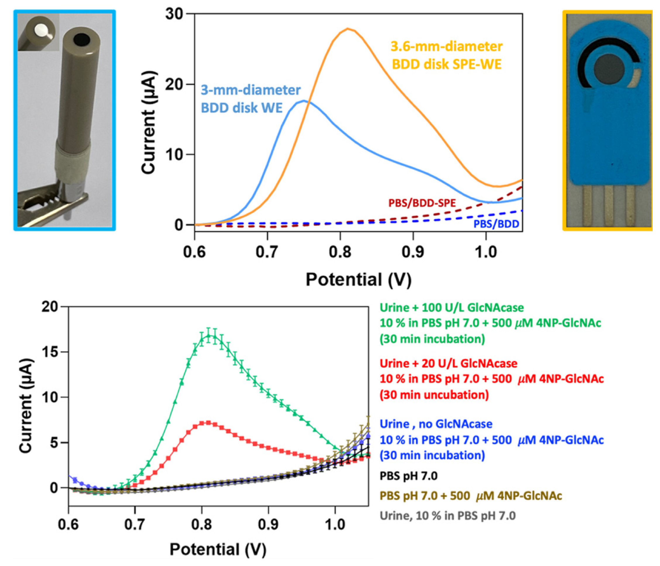 Biomolecules 11 01433 g006