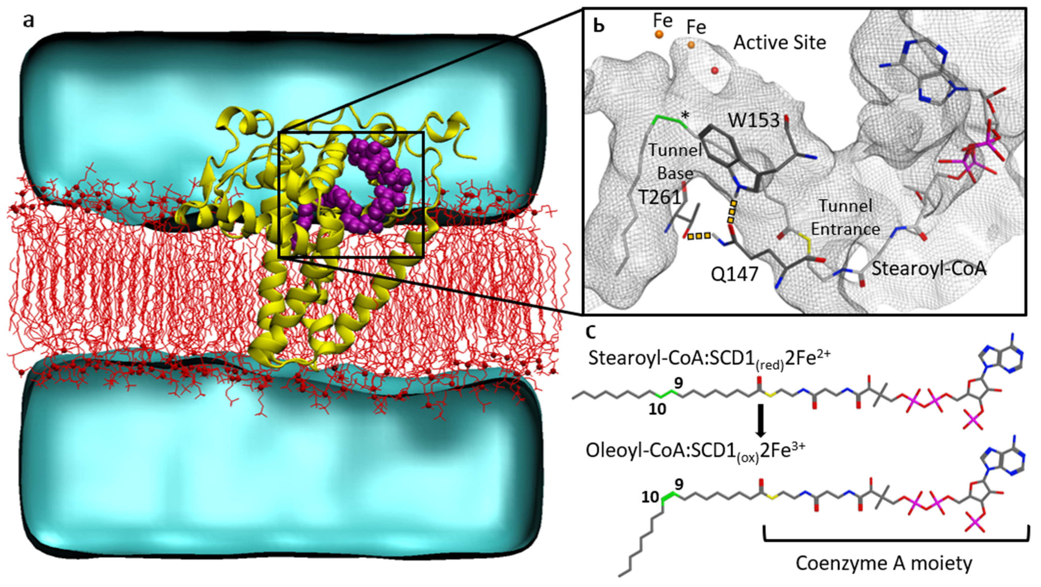 Biomolecules 11 01435 g001