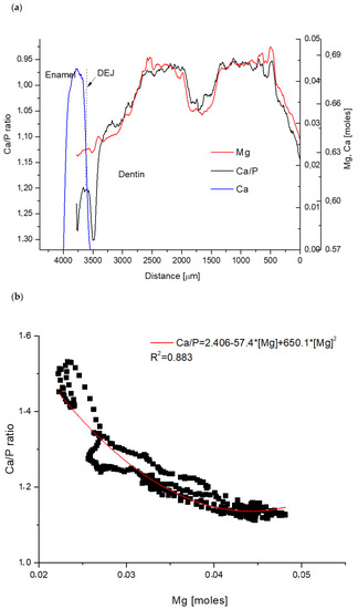 Biomolecules 11 01436 g003a Biomolecules 11 01436 g003a