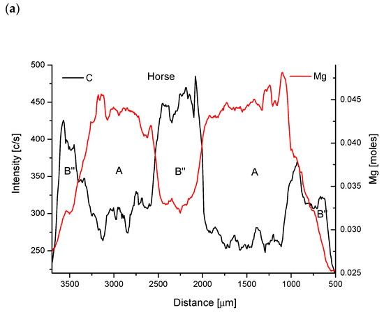 Biomolecules 11 01436 g005a Biomolecules 11 01436 g005a