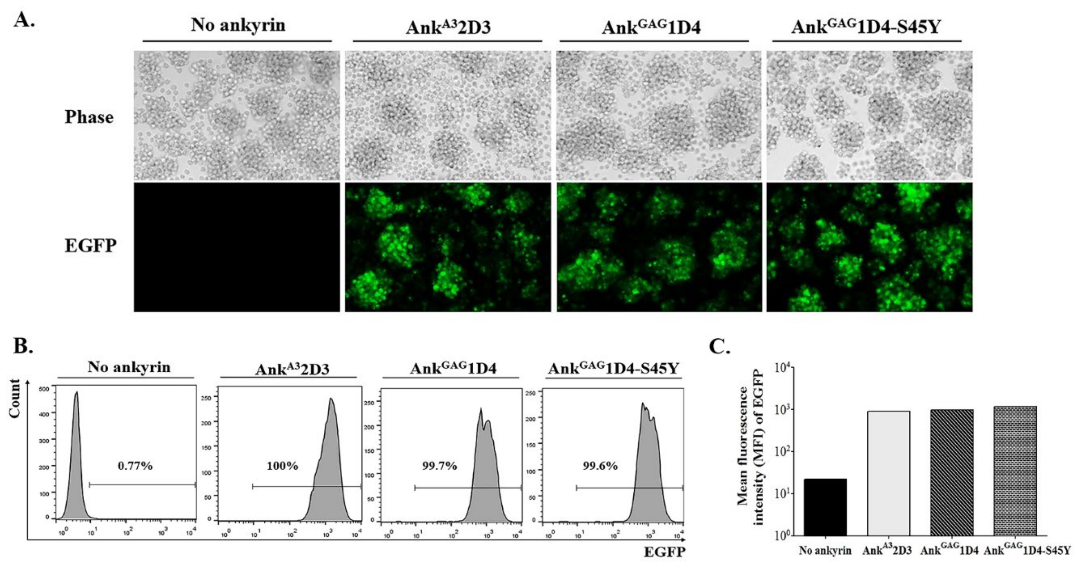 Biomolecules 11 01437 g001