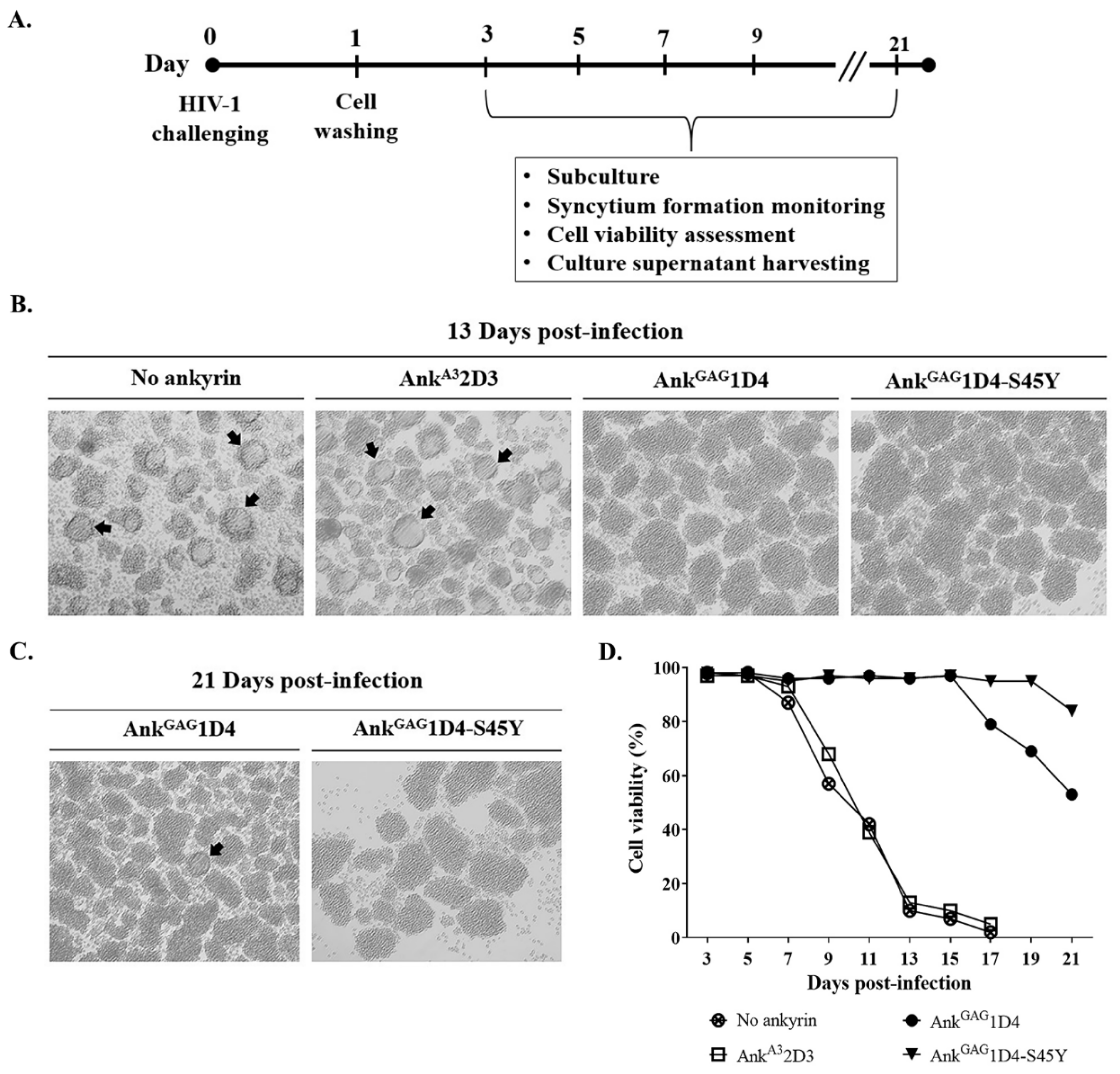 Biomolecules 11 01437 g004