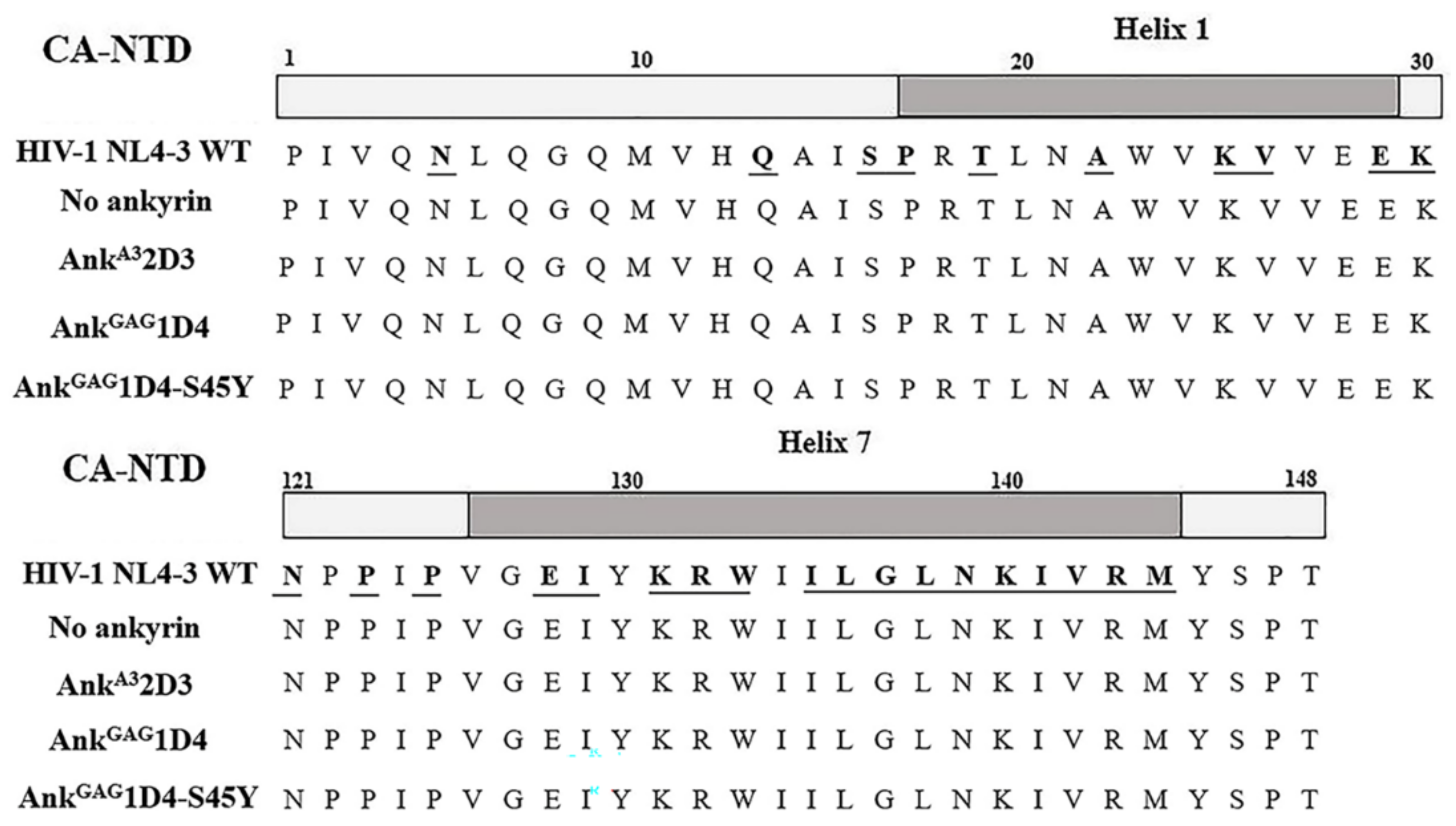 Biomolecules 11 01437 g007