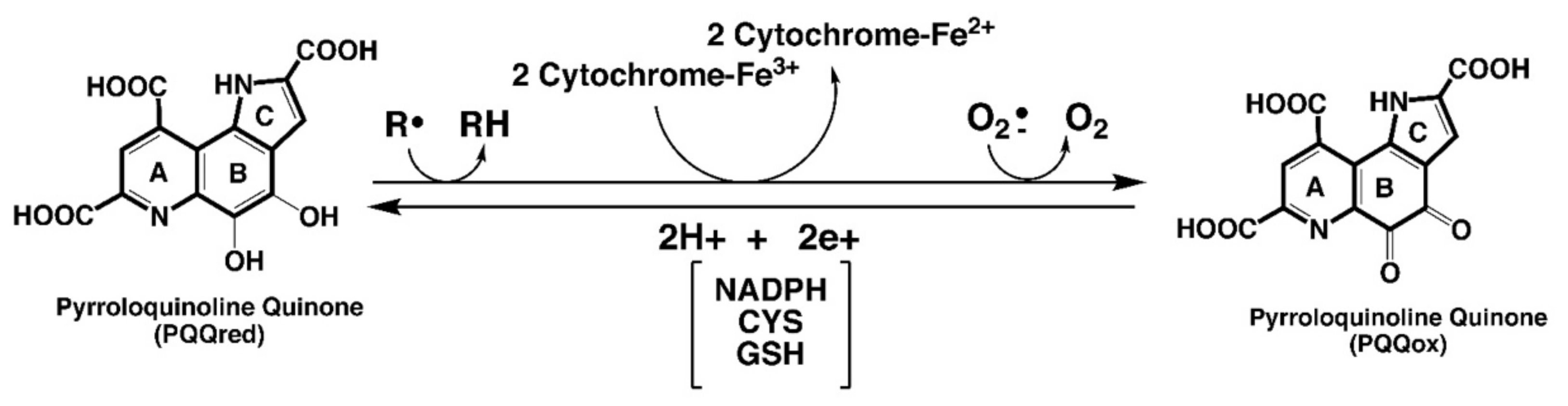 Biomolecules 11 01441 g001