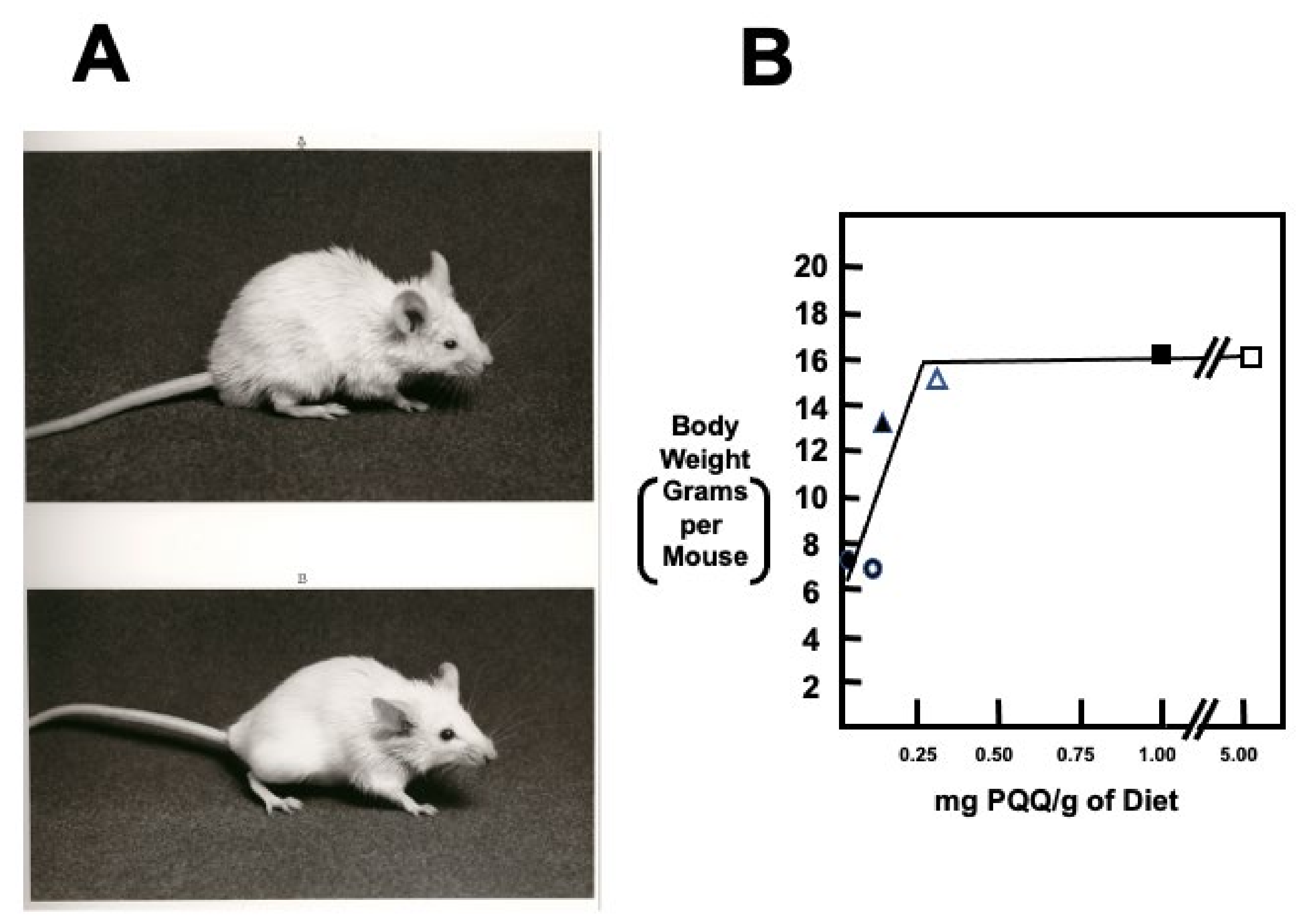 Biomolecules 11 01441 g004
