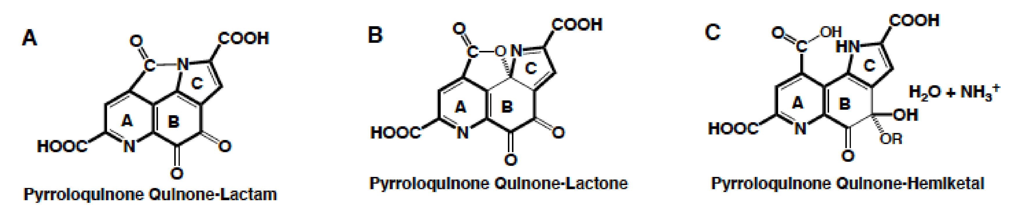 Biomolecules 11 01441 g005