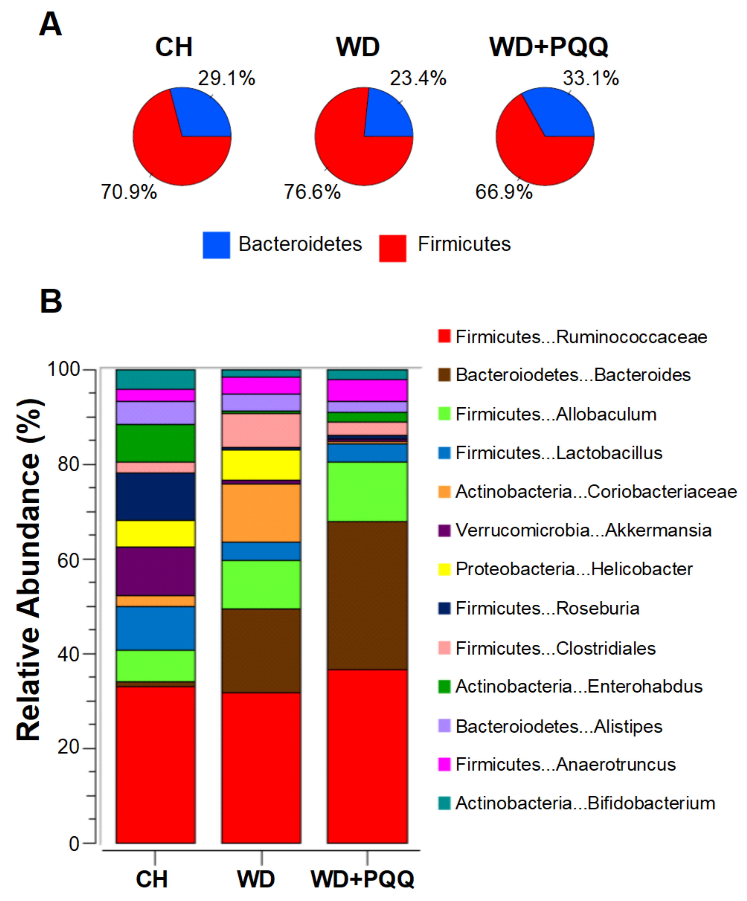 Biomolecules 11 01441 g007