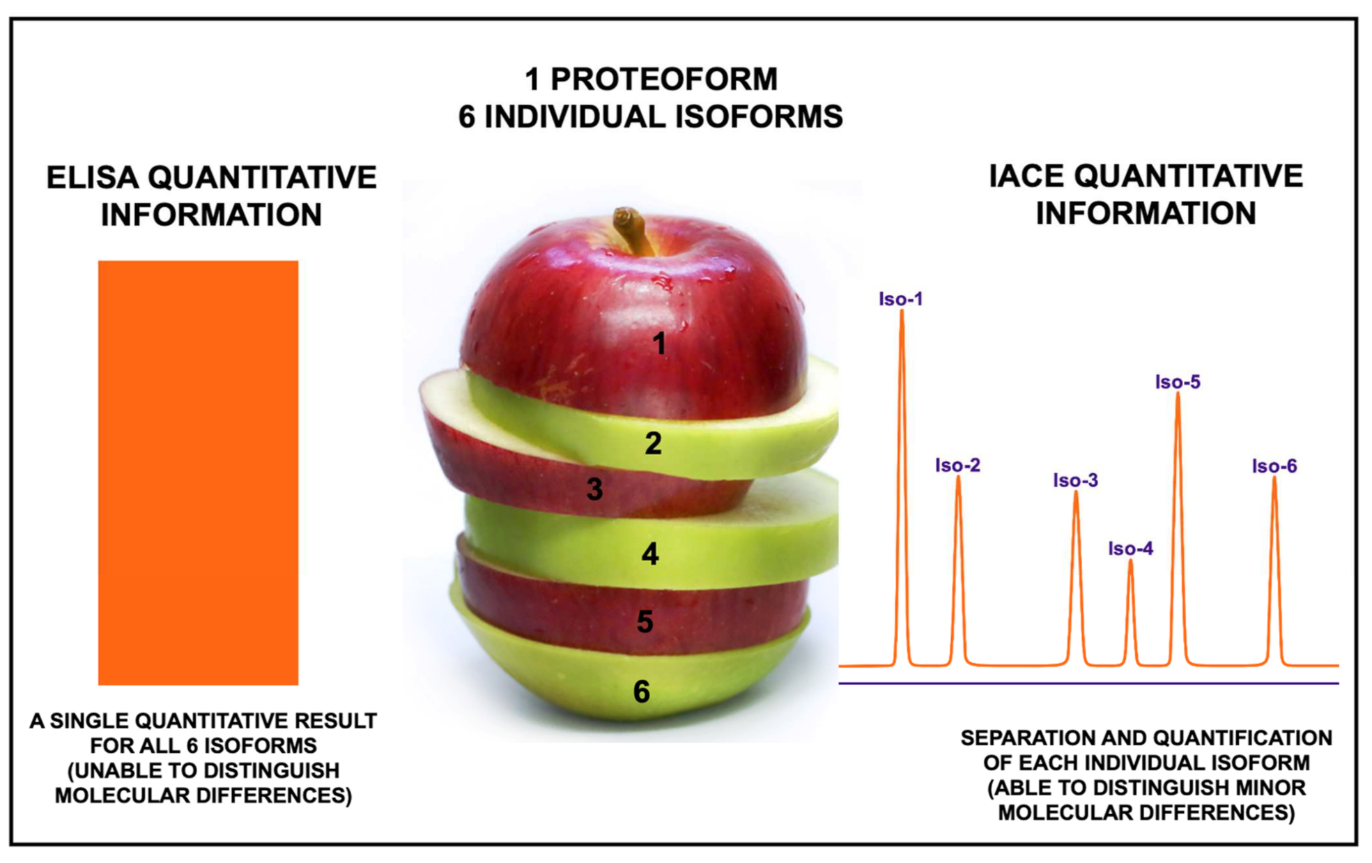 Biomolecules 11 01443 g005 Biomolecules 11 01443 g005