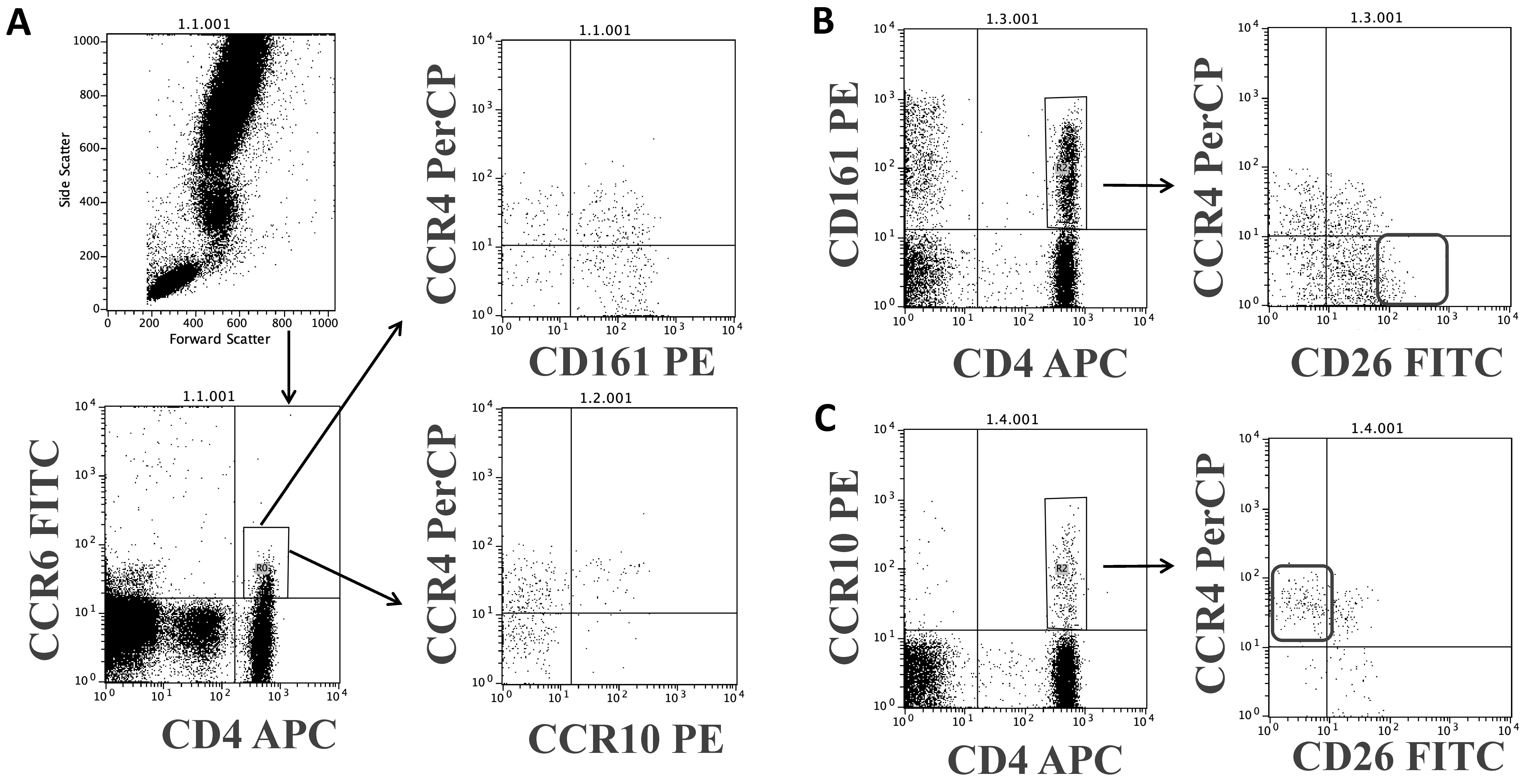 Biomolecules 11 01446 g005 Biomolecules 11 01446 g005