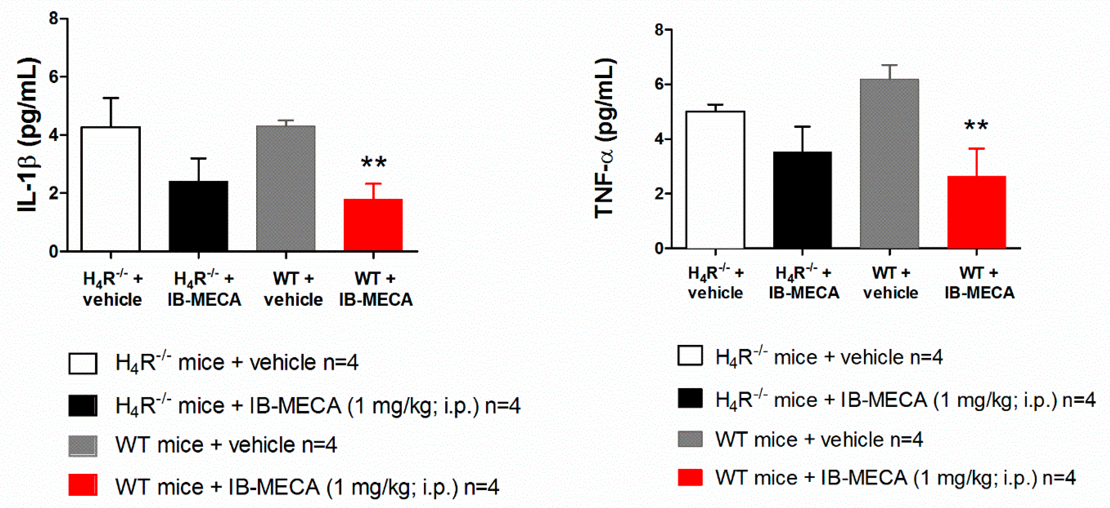 Biomolecules 11 01447 g003