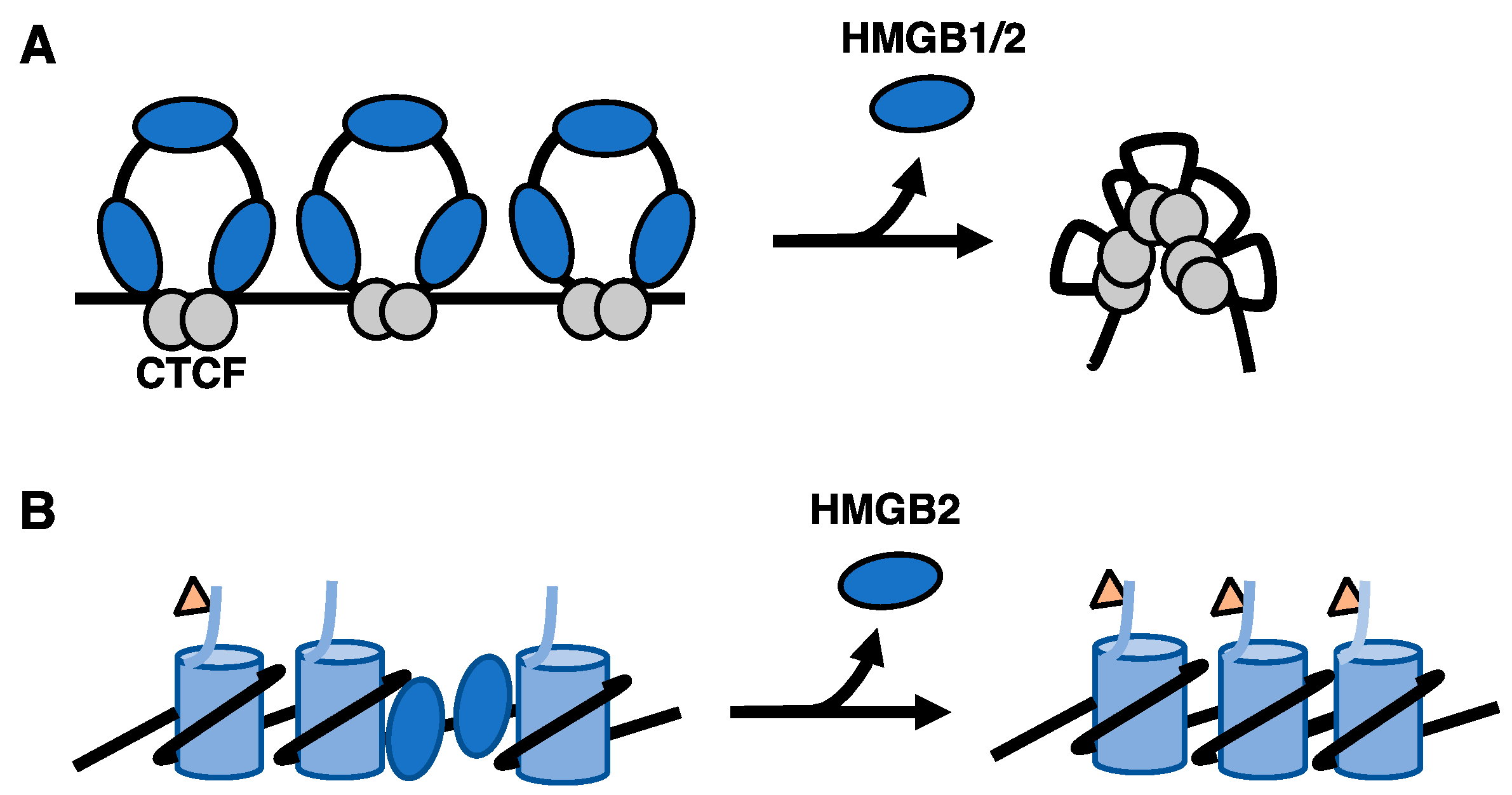 Biomolecules 11 01451 g002