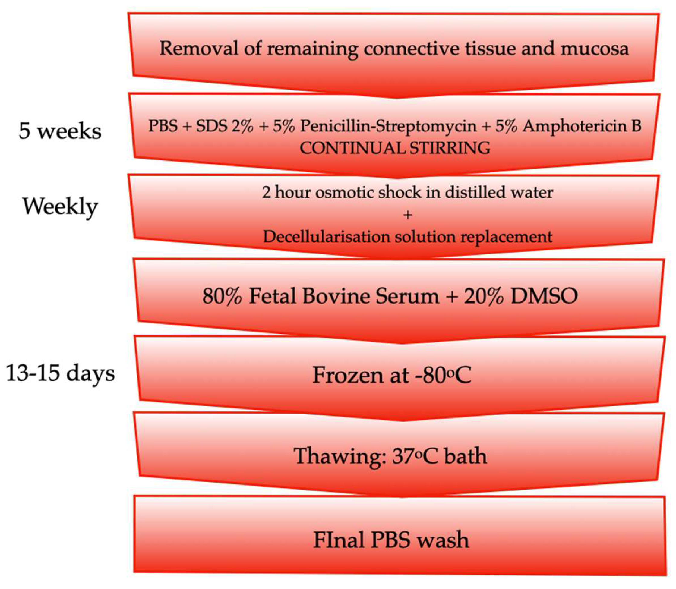 Biomolecules 11 01461 g001