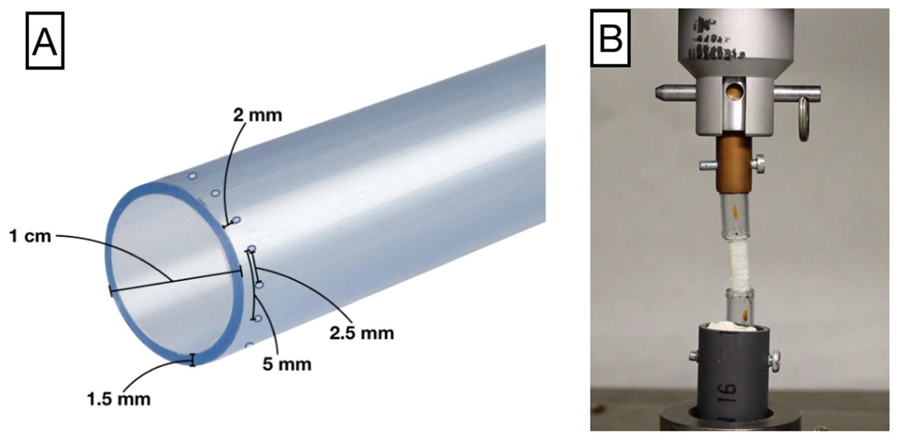Biomolecules 11 01461 g002