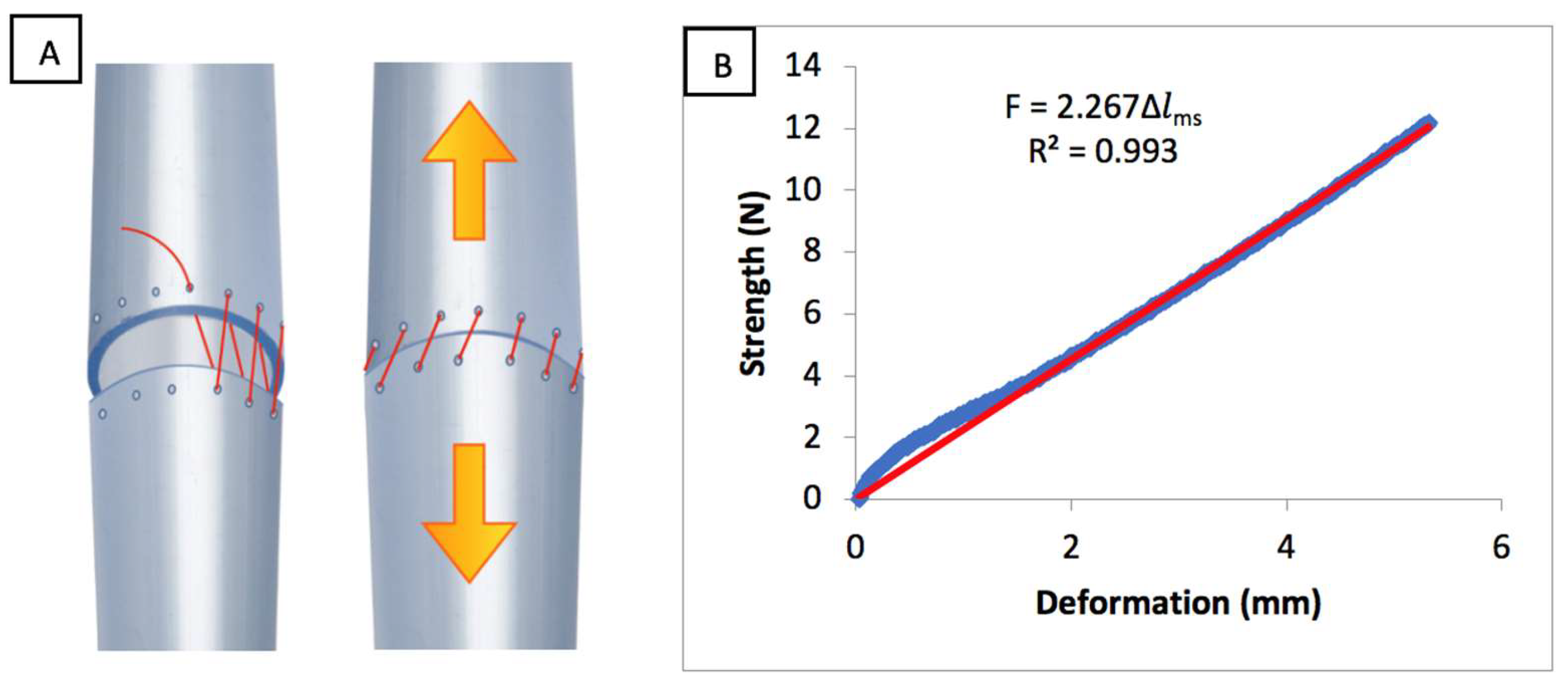 Biomolecules 11 01461 g003