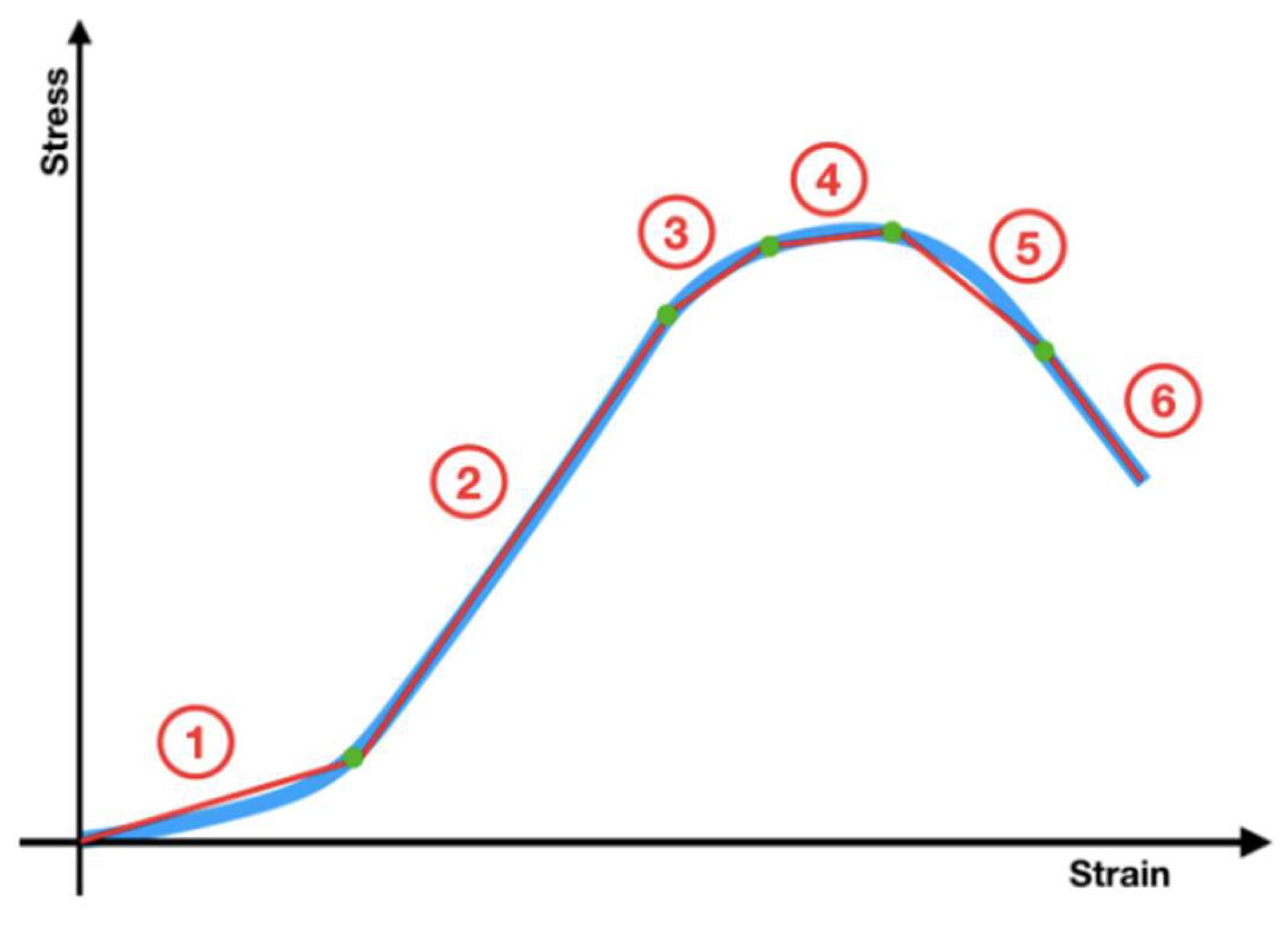 Biomolecules 11 01461 g004