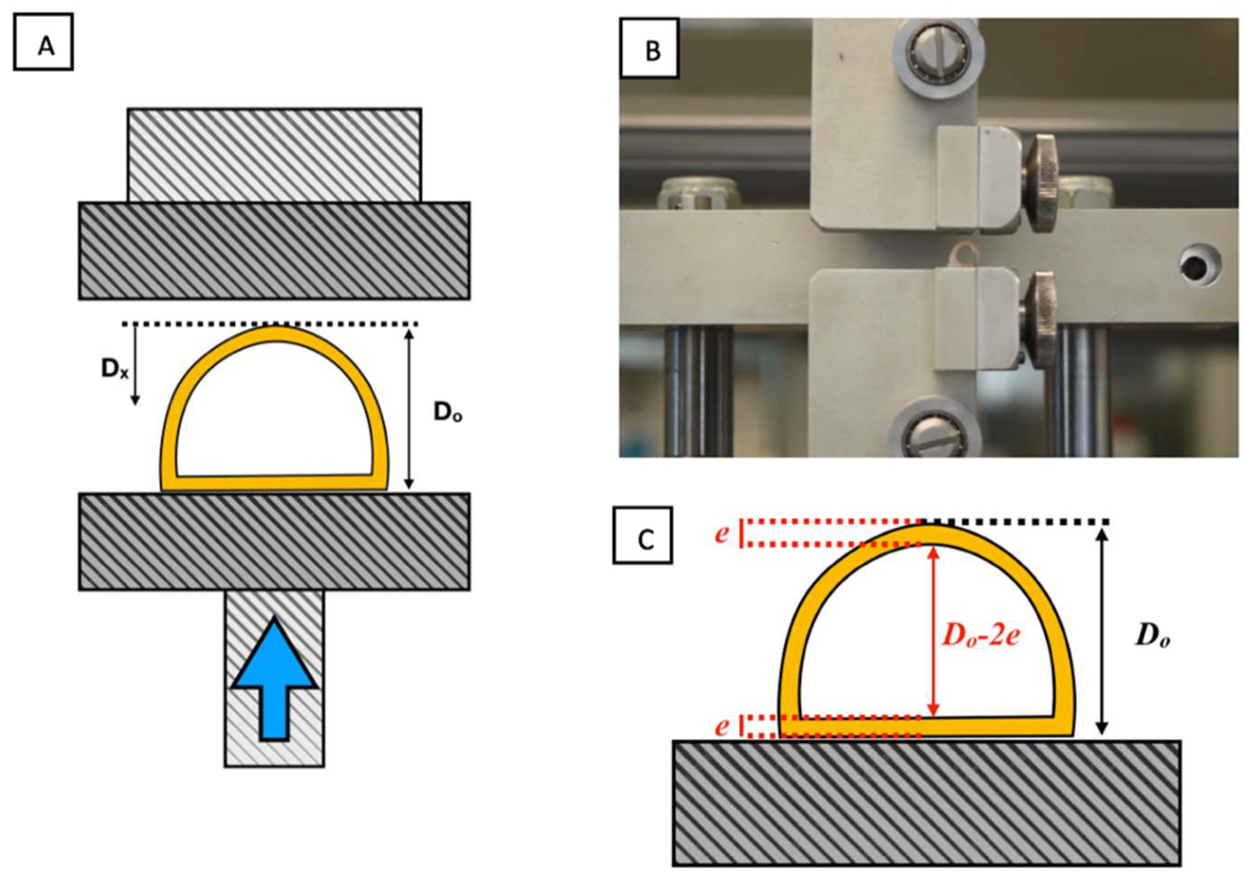 Biomolecules 11 01461 g005