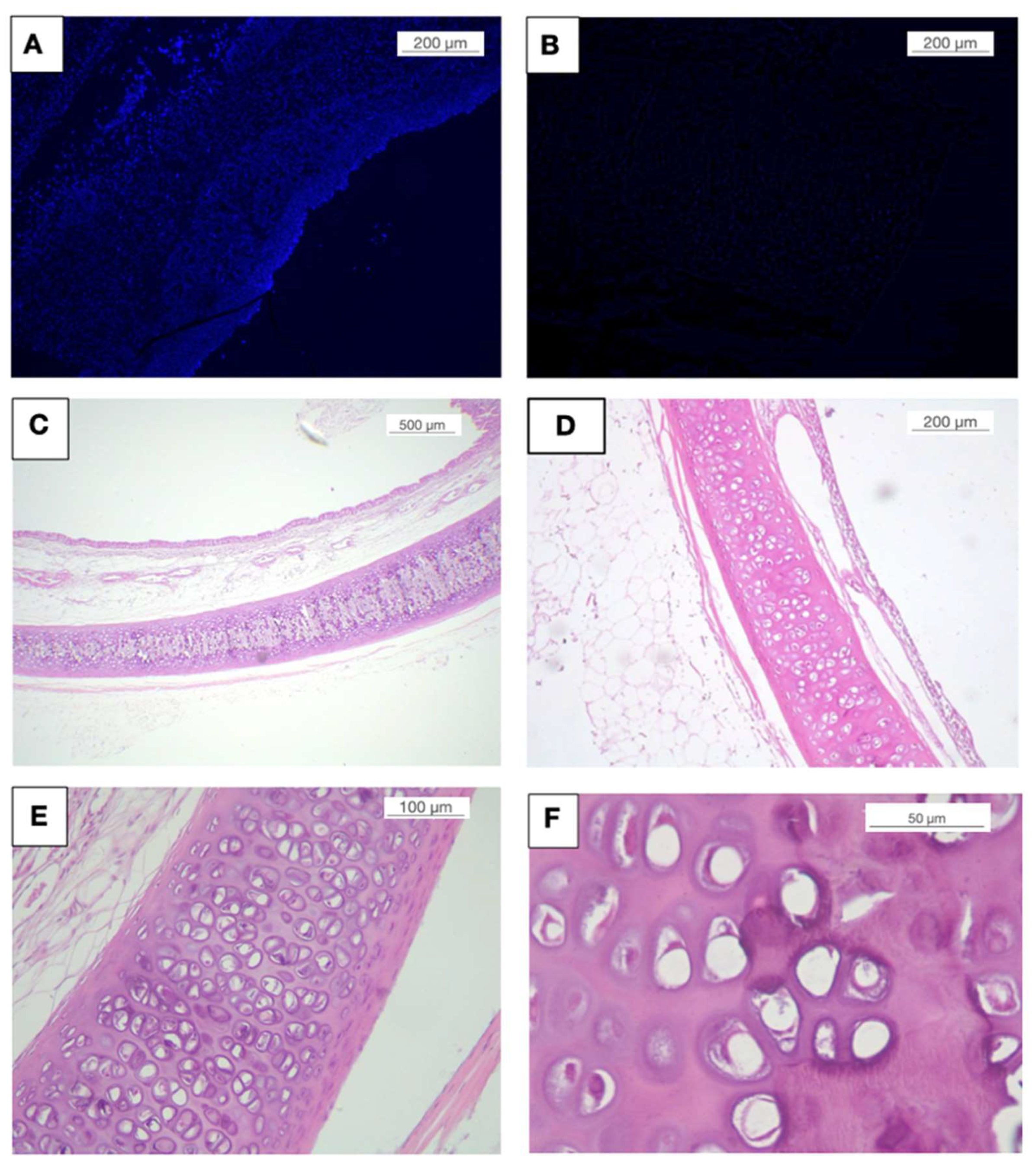 Biomolecules 11 01461 g006