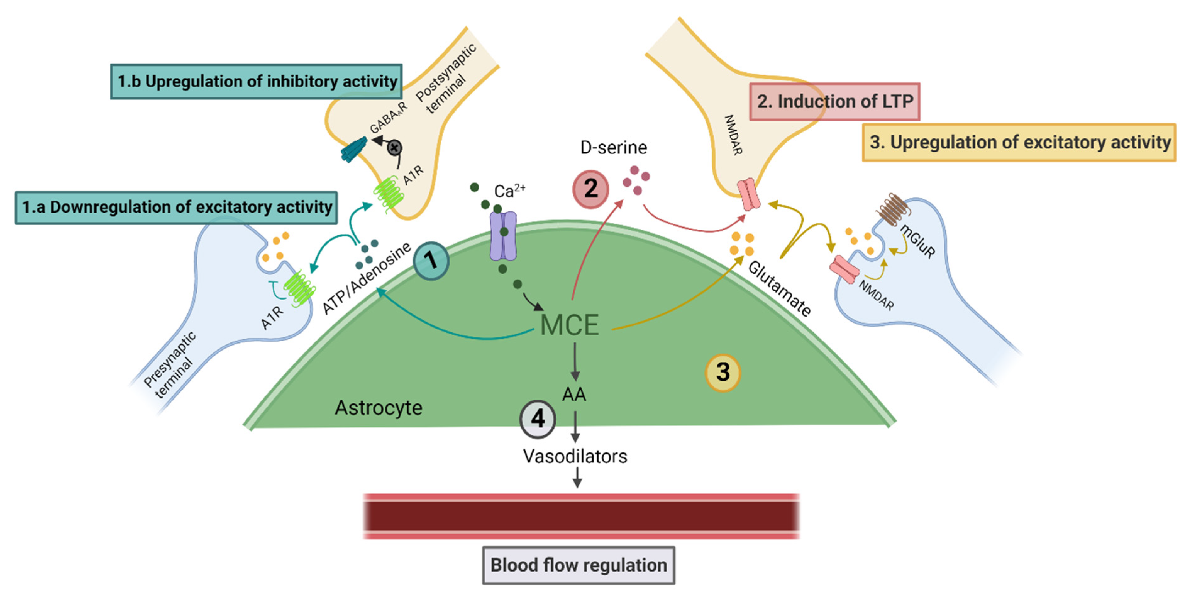 Biomolecules 11 01467 g001