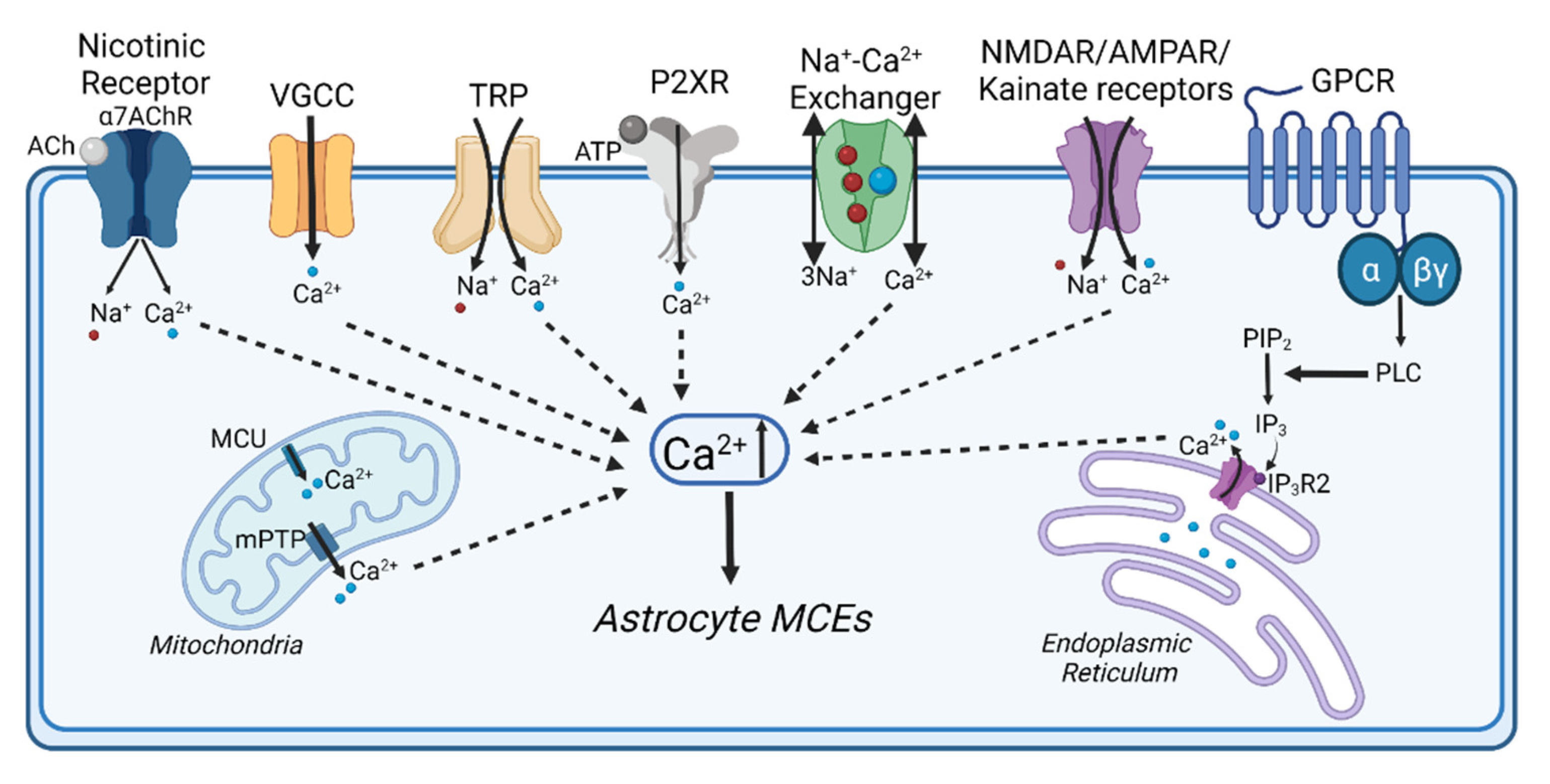 Biomolecules 11 01467 g002