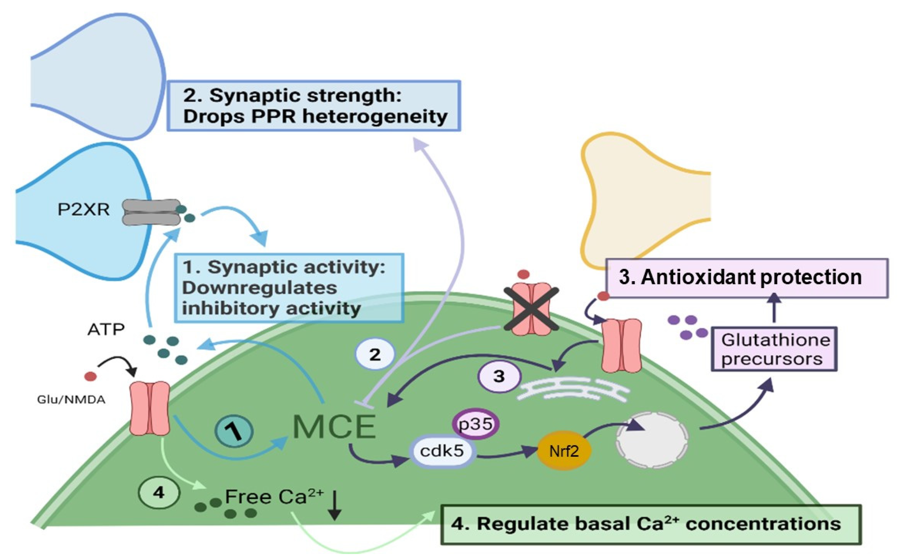 Biomolecules 11 01467 g003