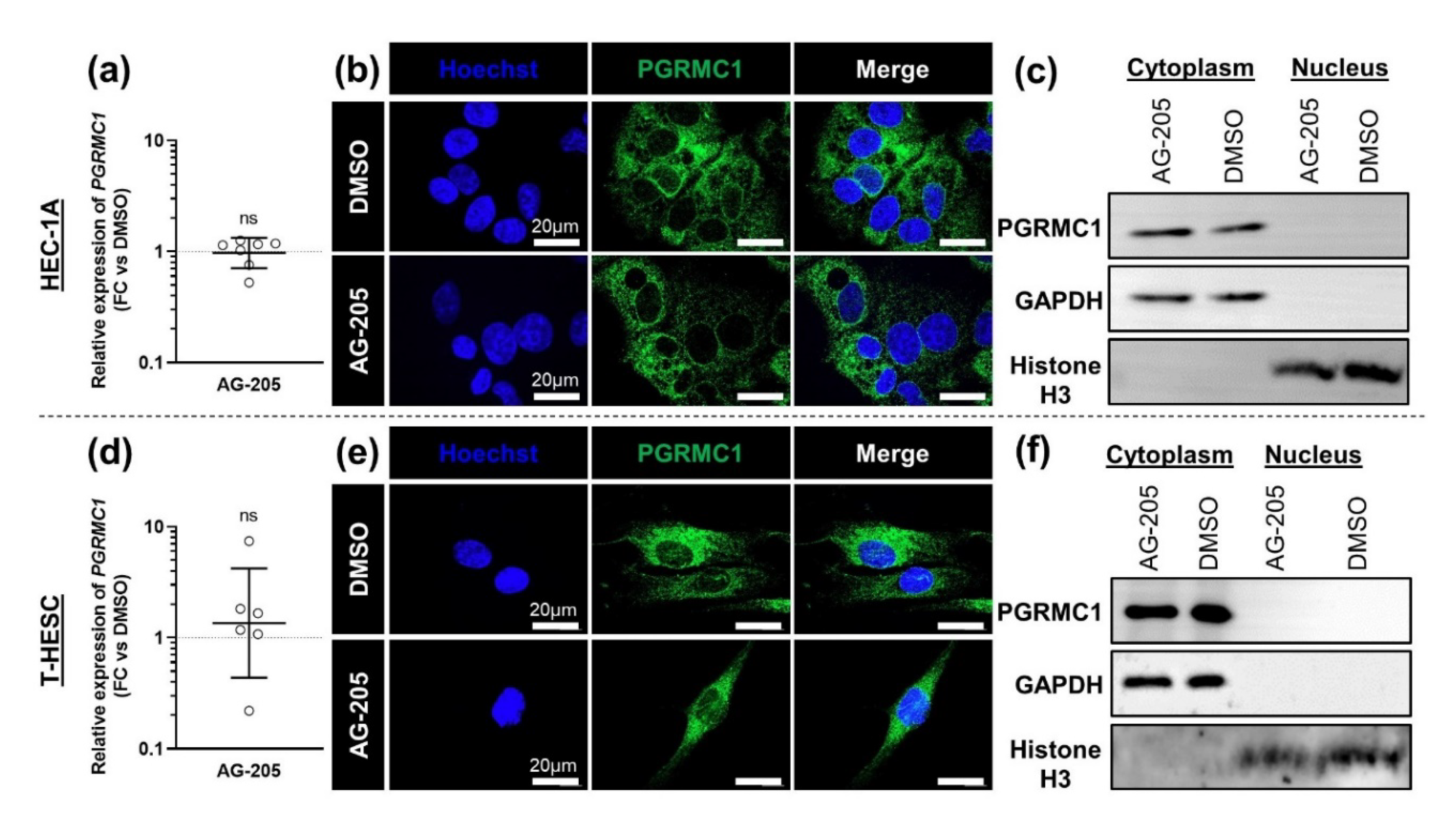 Biomolecules 11 01472 g001 Biomolecules 11 01472 g001