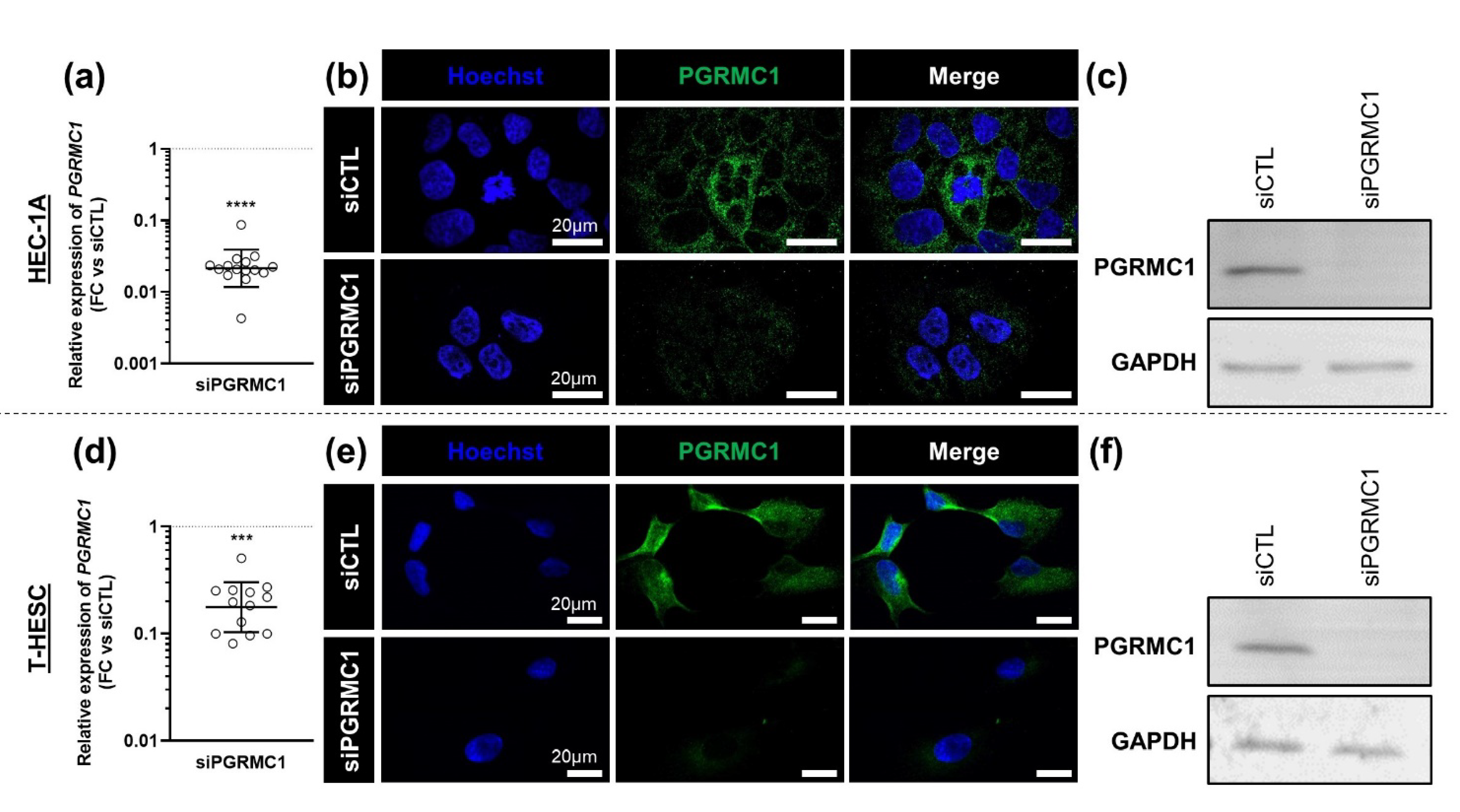 Biomolecules 11 01472 g003 Biomolecules 11 01472 g003
