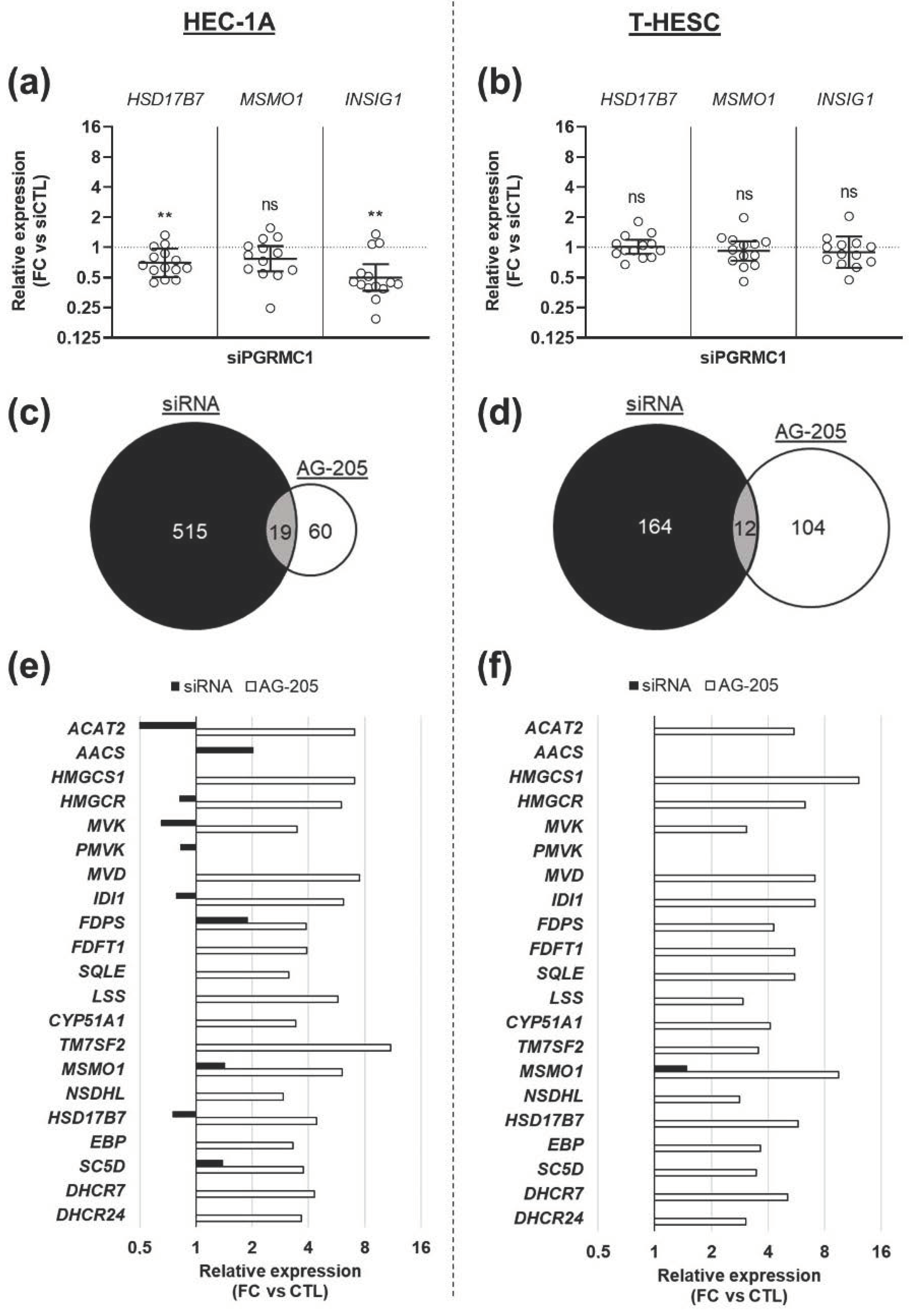 Biomolecules 11 01472 g004 Biomolecules 11 01472 g004