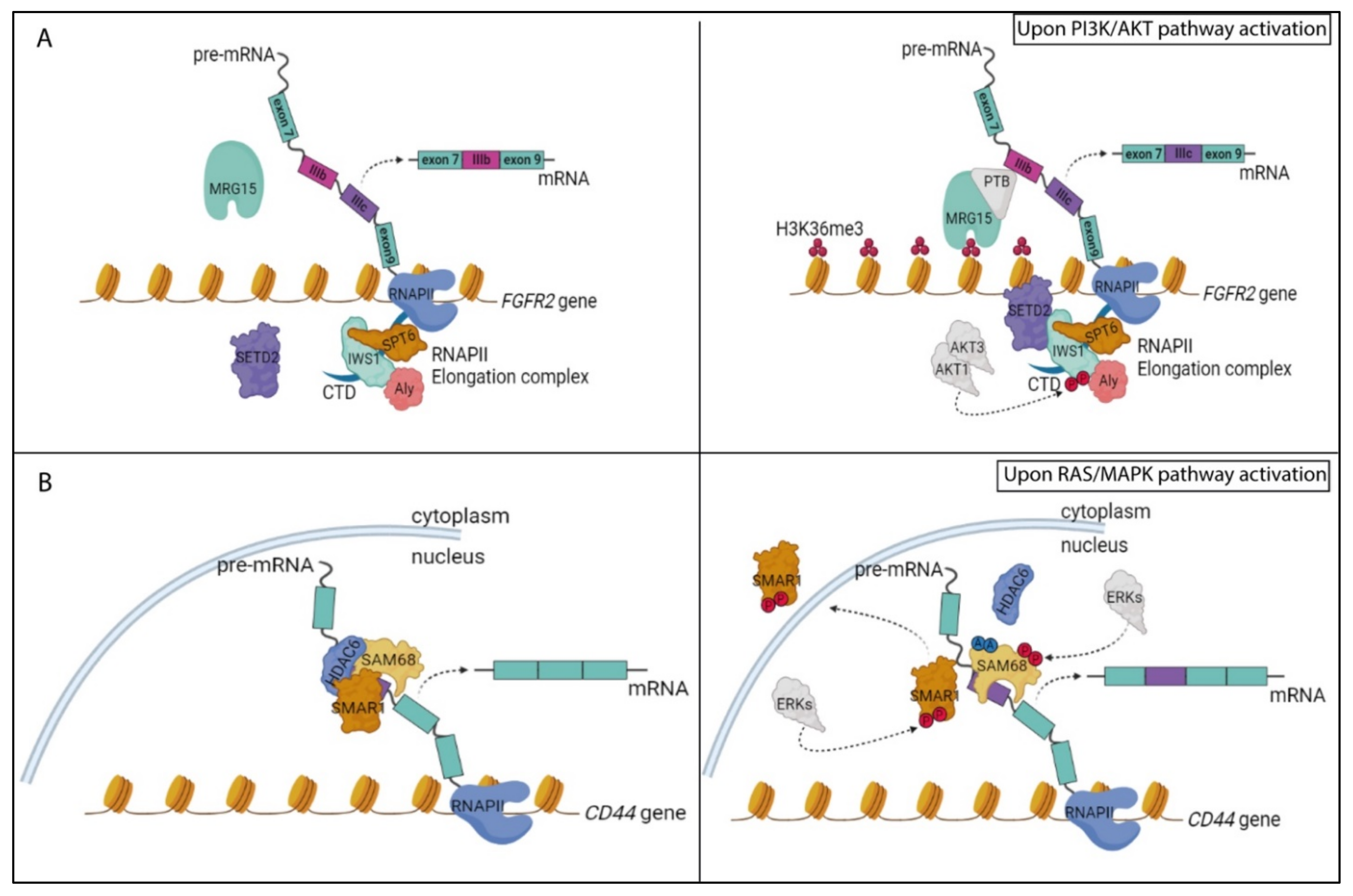 Biomolecules 11 01475 g002