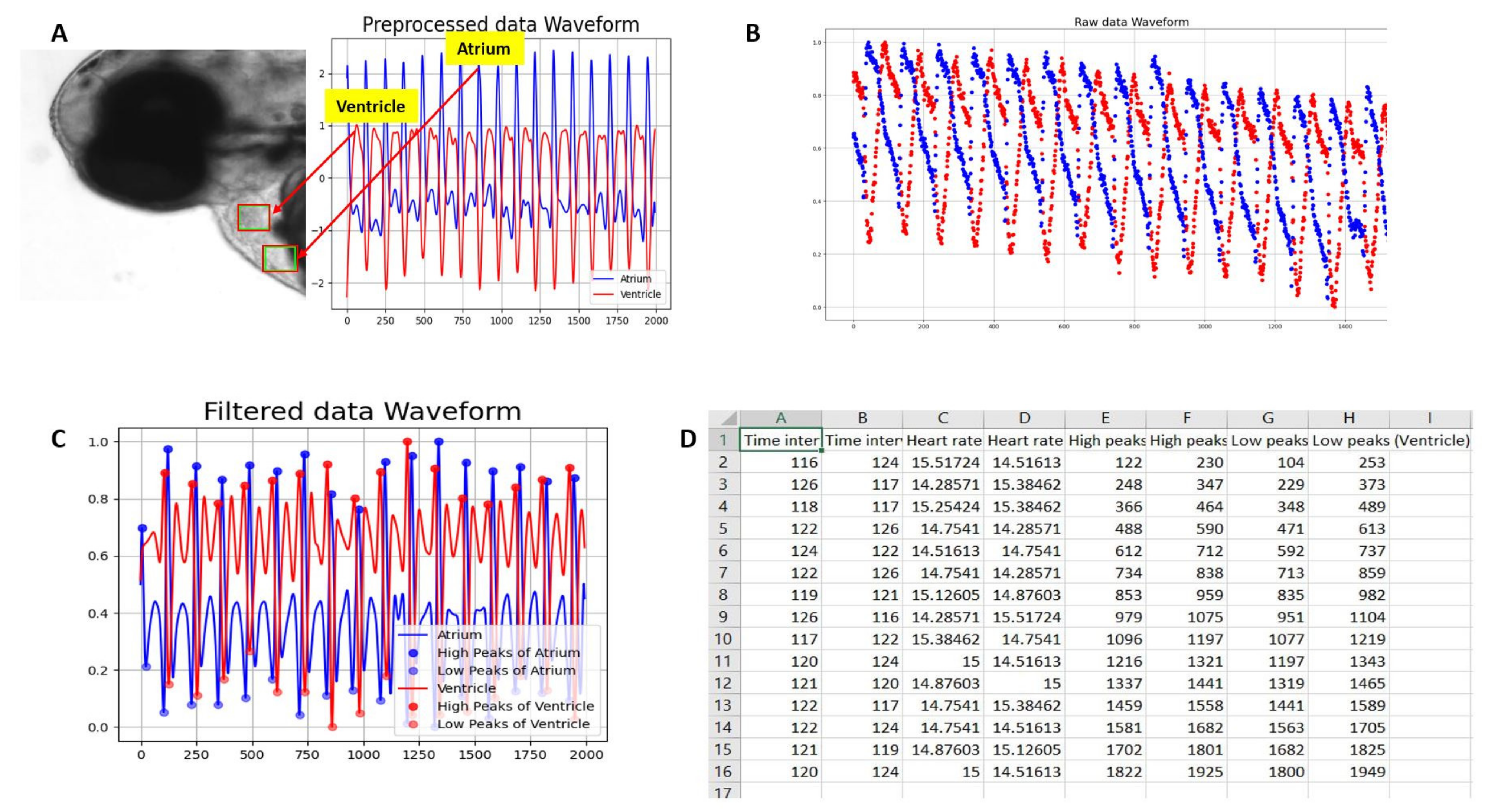Biomolecules 11 01476 g002