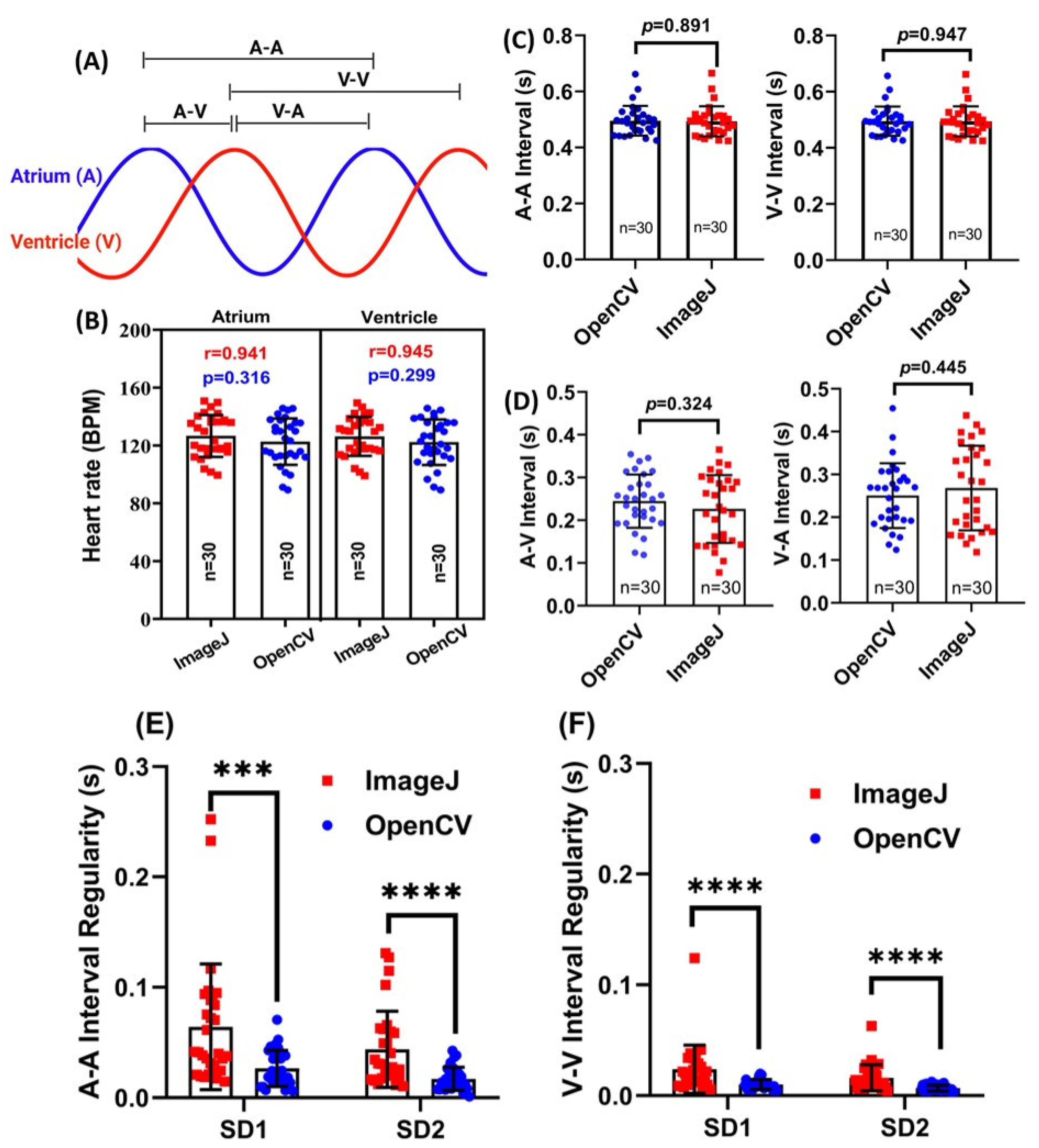 Biomolecules 11 01476 g003