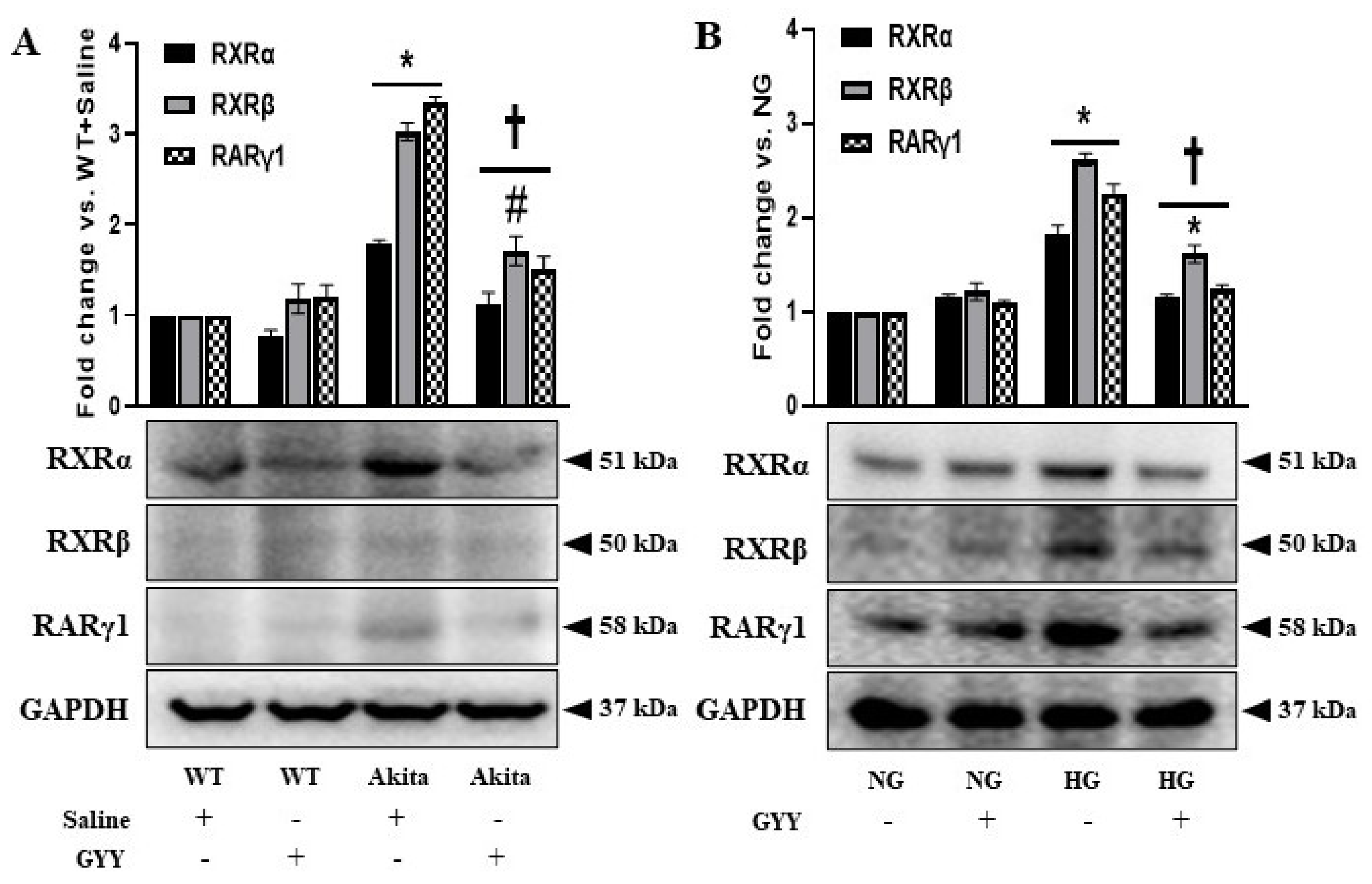 Biomolecules 11 01477 g003