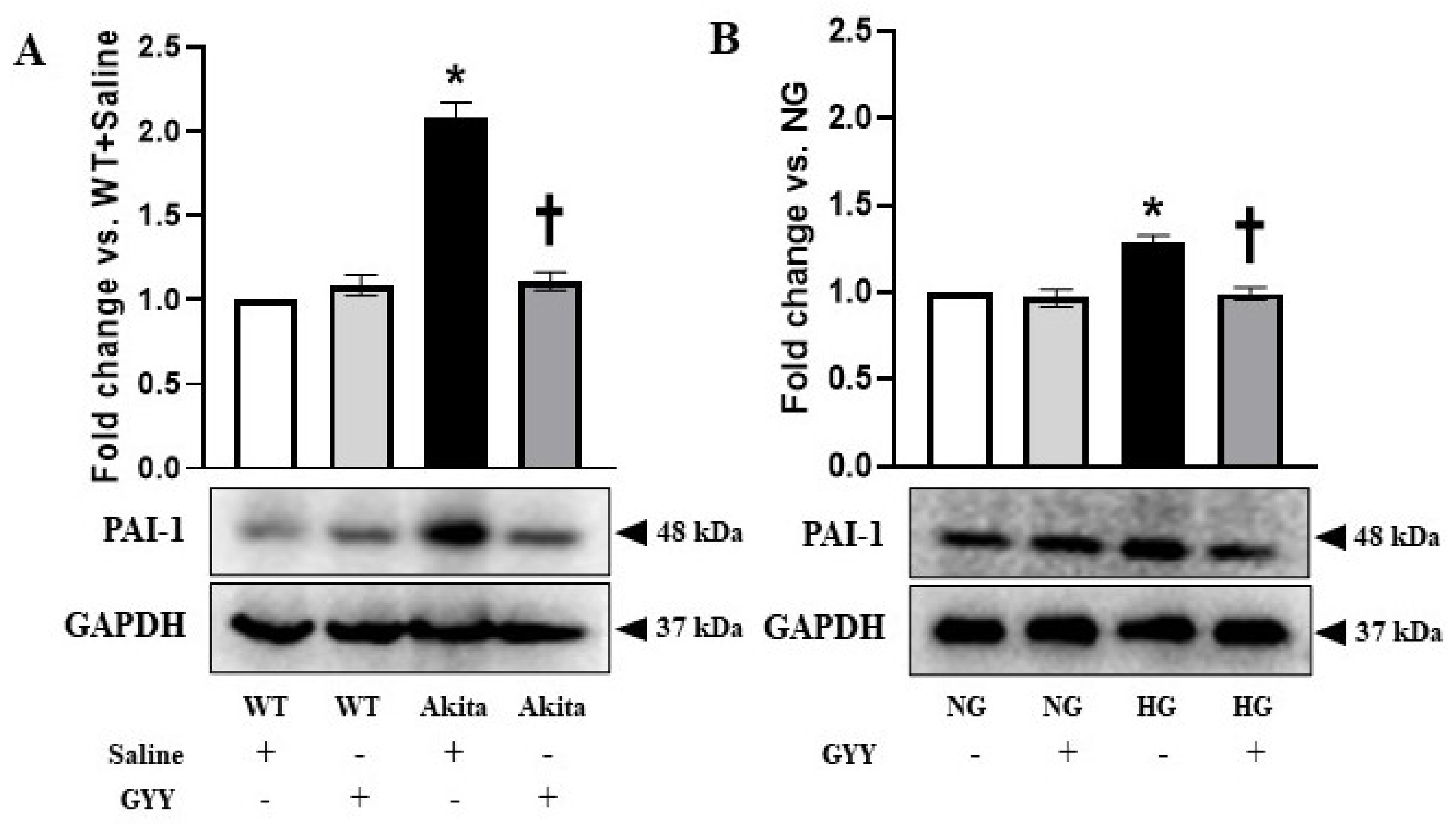 Biomolecules 11 01477 g004