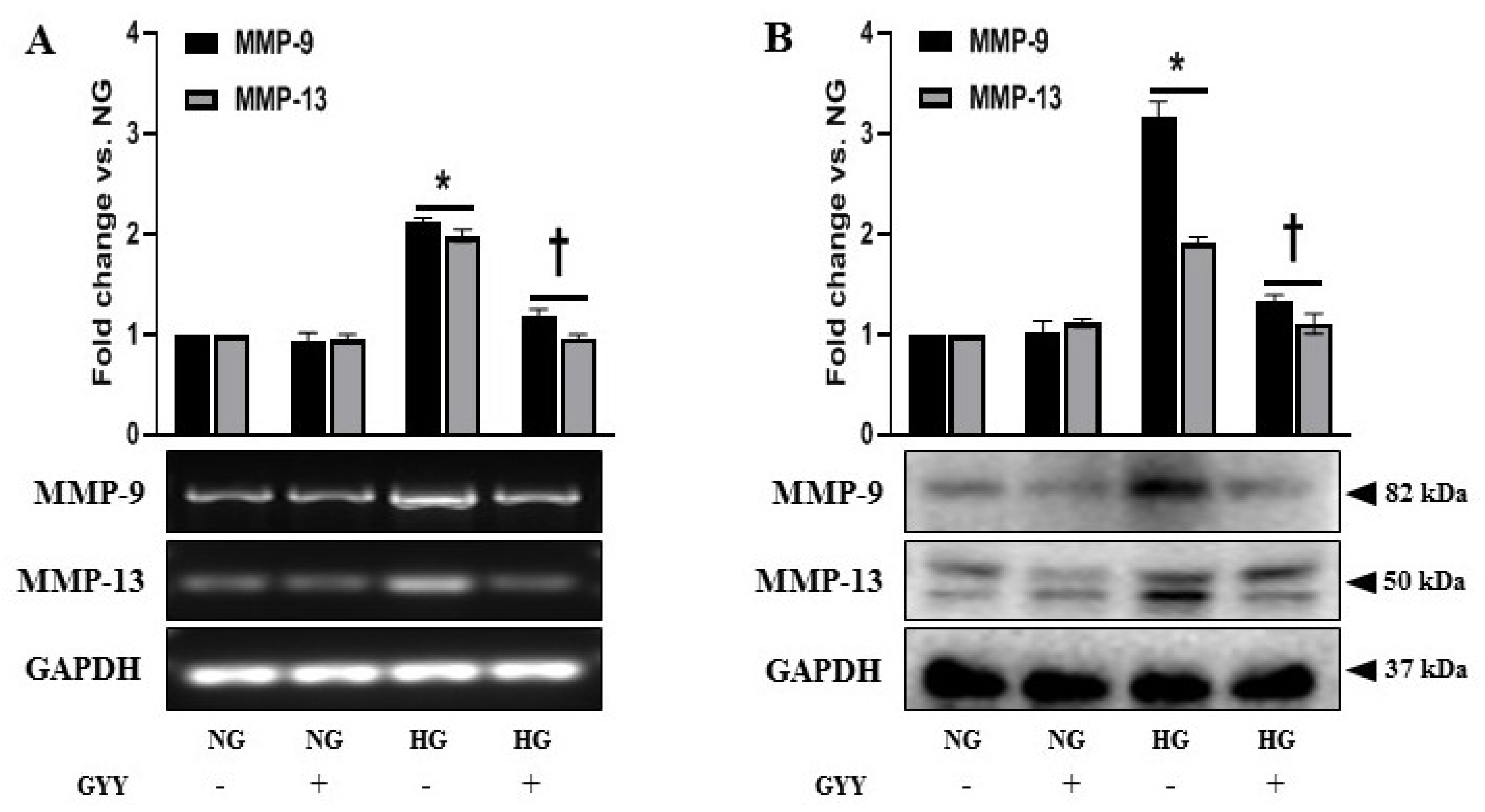 Biomolecules 11 01477 g006