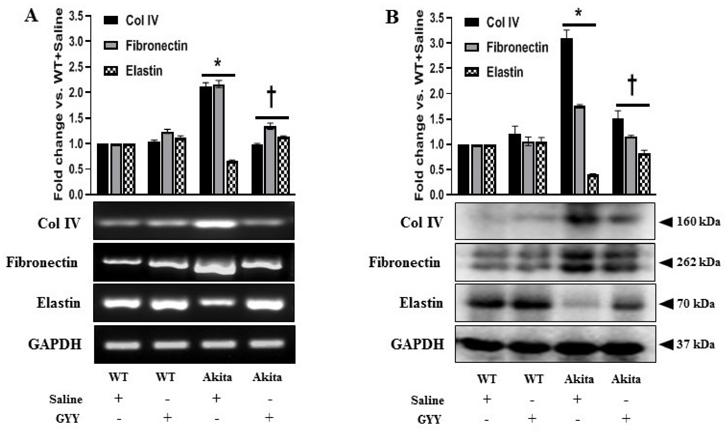 Biomolecules 11 01477 g007