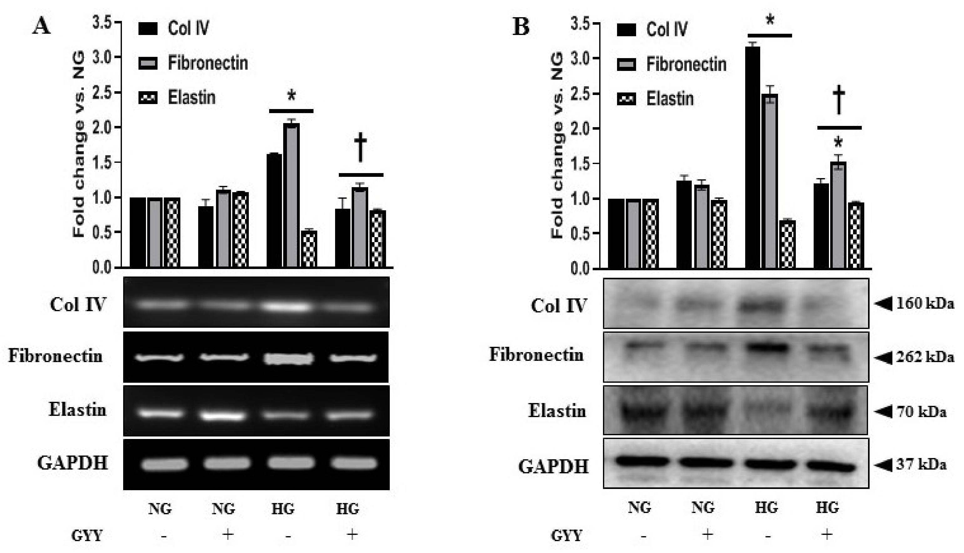 Biomolecules 11 01477 g008
