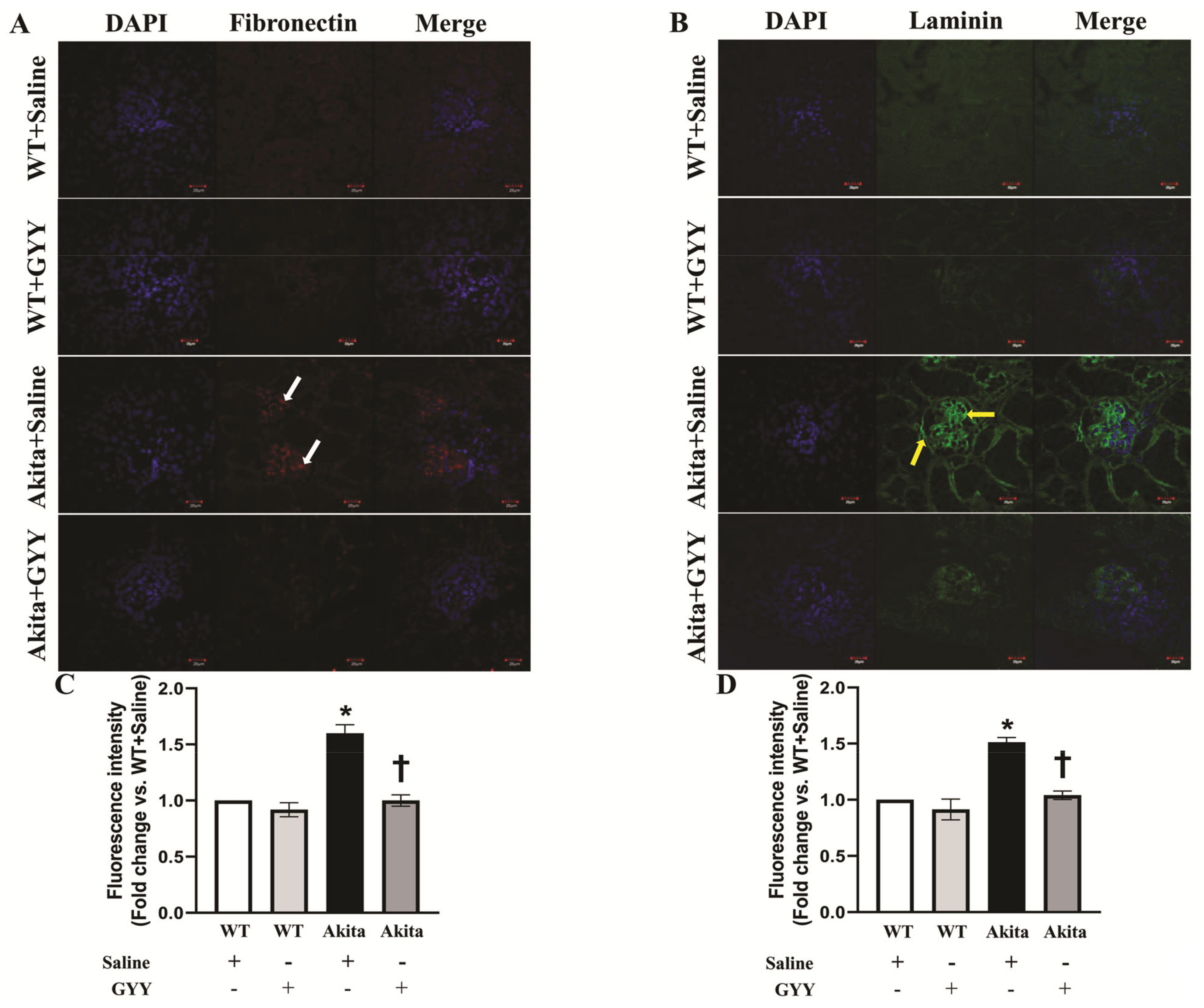 Biomolecules 11 01477 g010