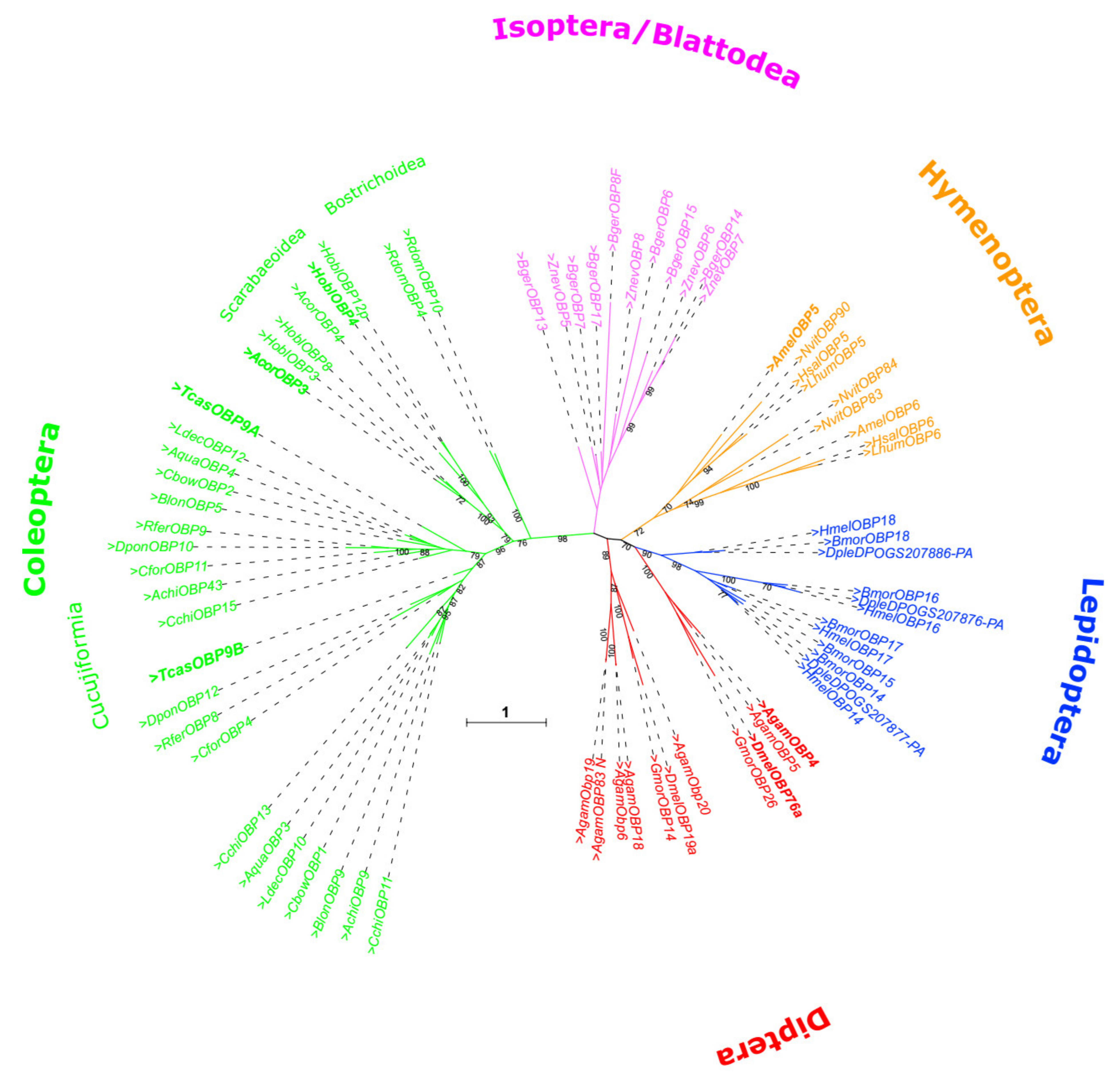 Biomolecules 11 01502 g003