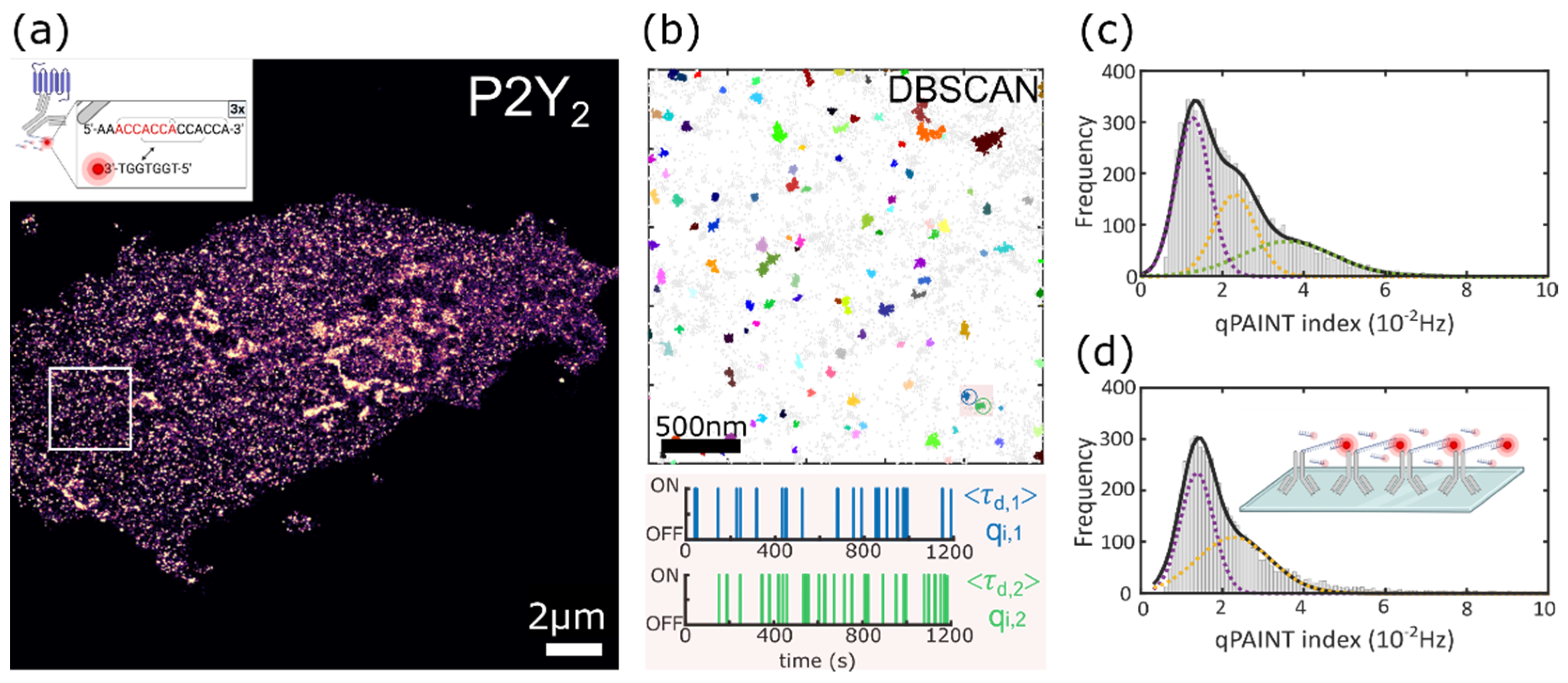 Biomolecules 11 01503 g001