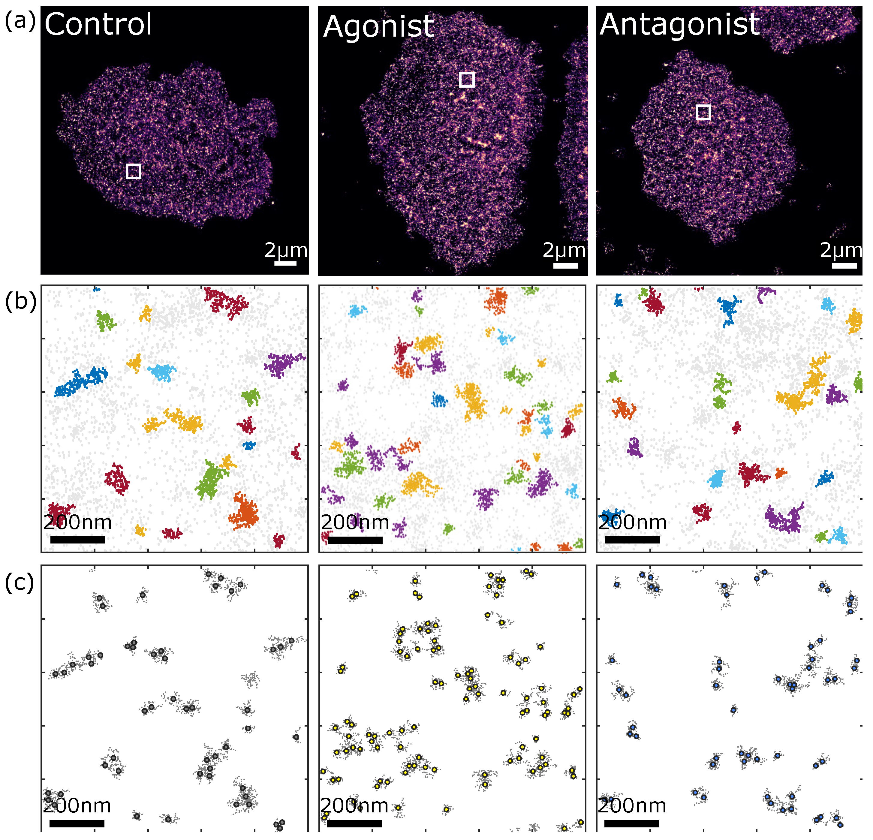 Biomolecules 11 01503 g002