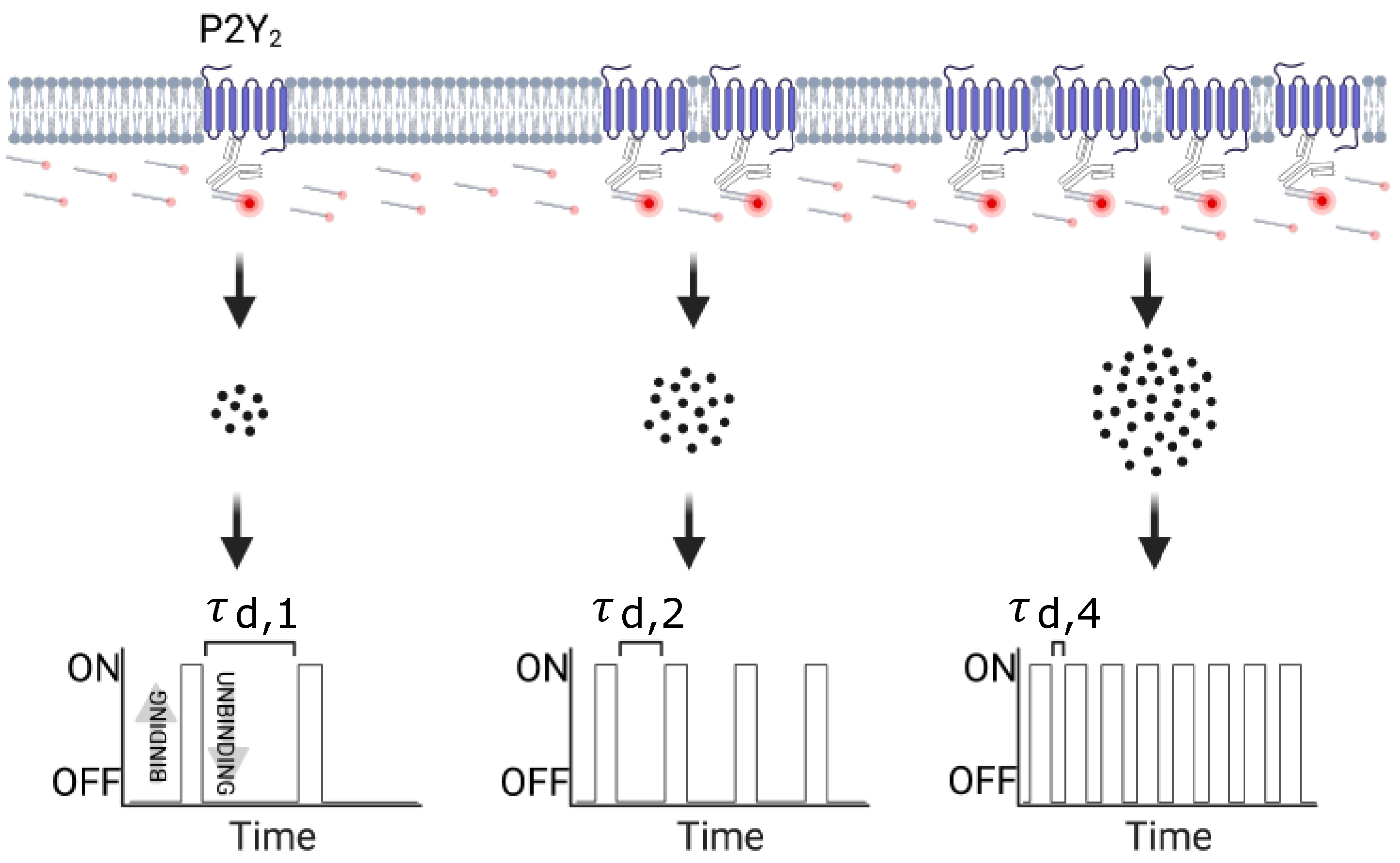 Biomolecules 11 01503 sch001