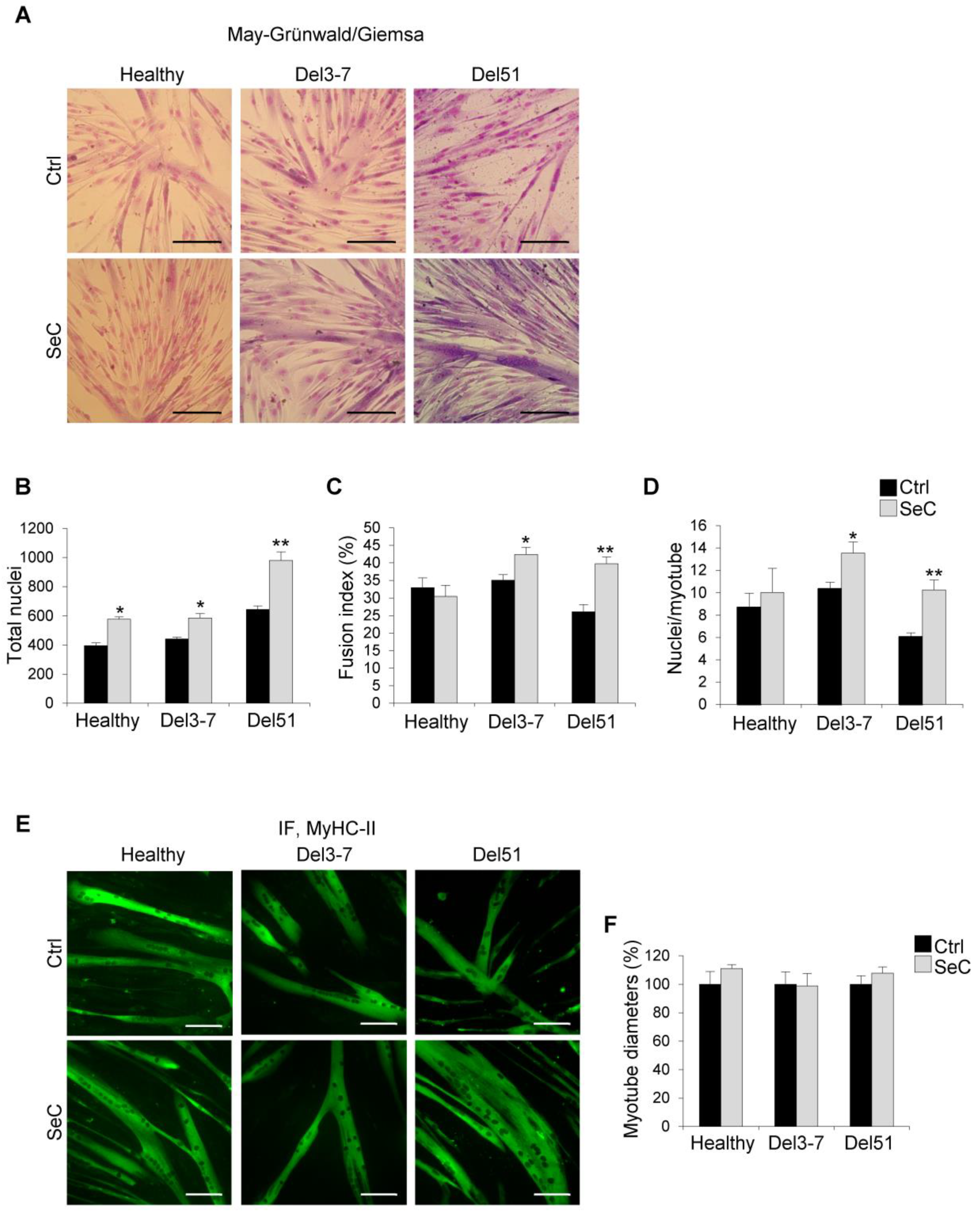 Biomolecules 11 01504 g004