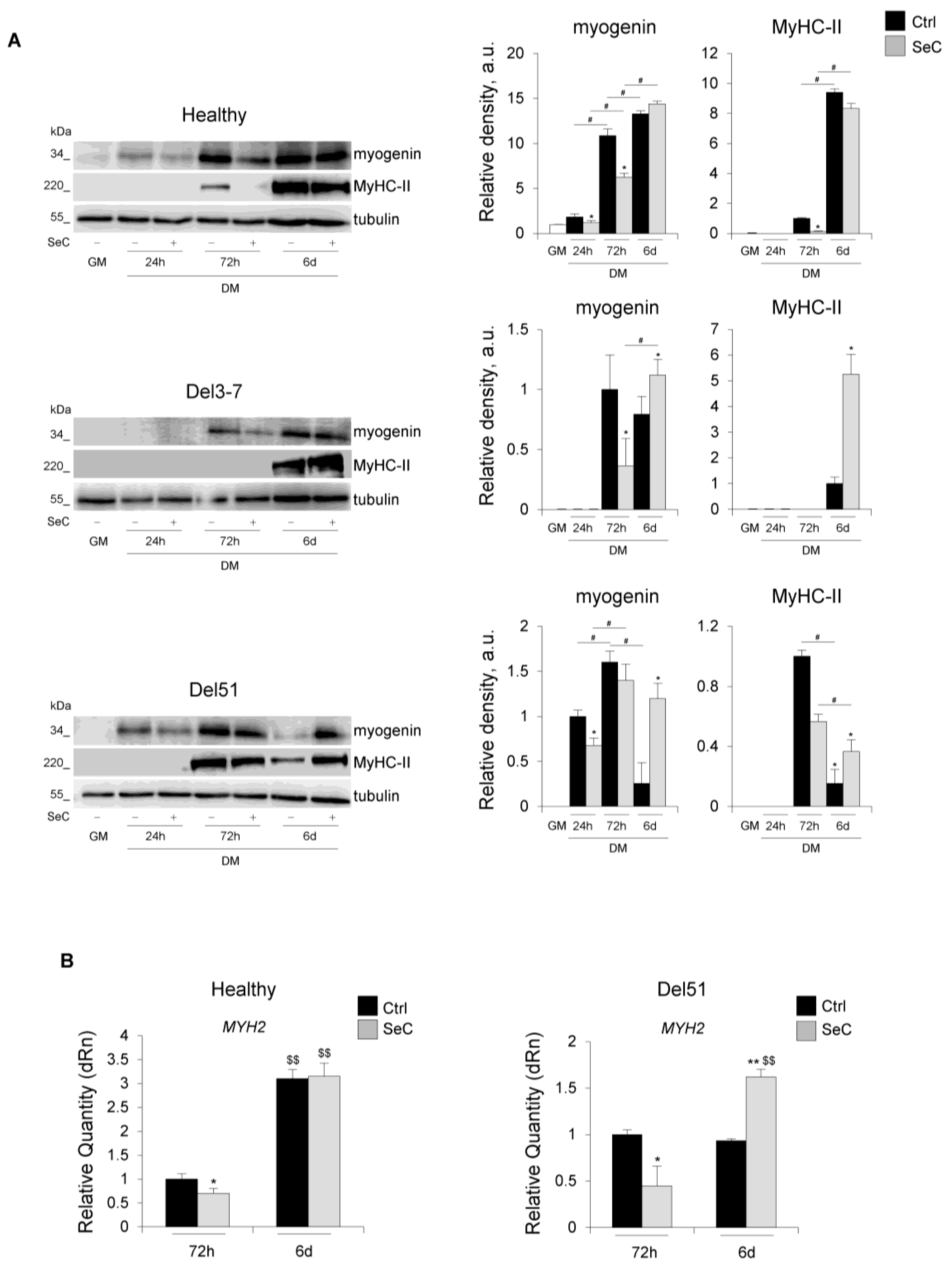 Biomolecules 11 01504 g005