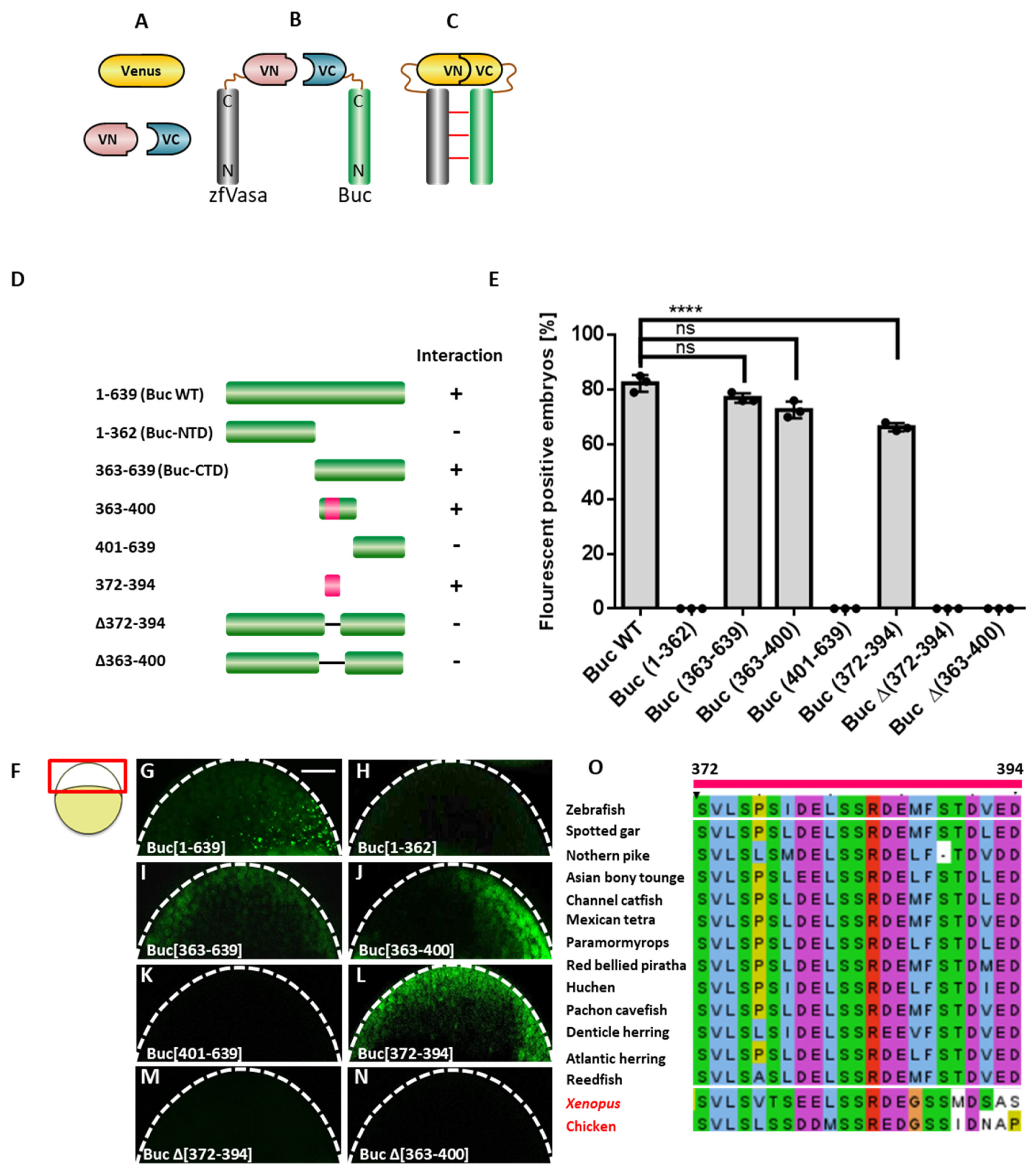 Biomolecules 11 01507 g001