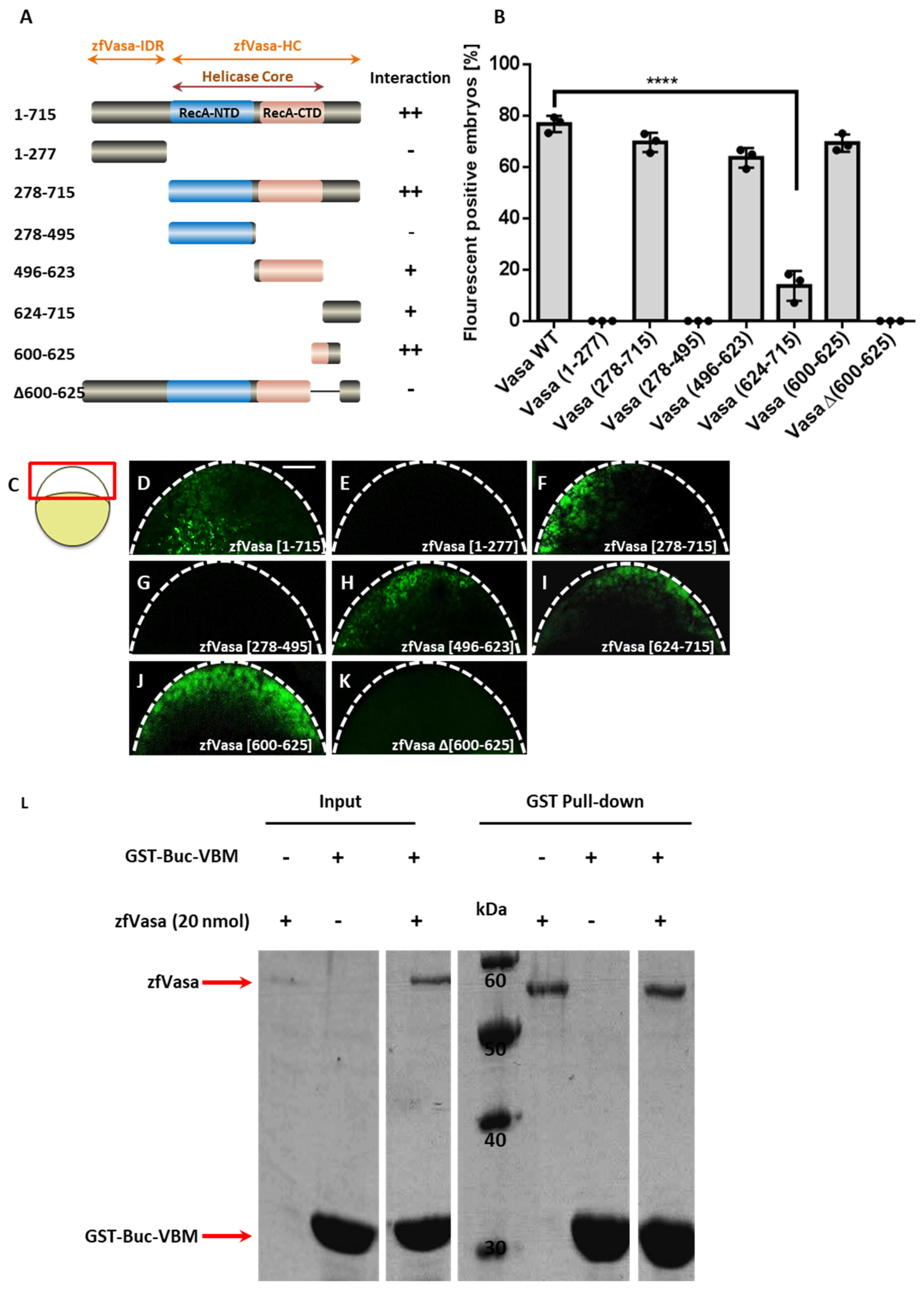 Biomolecules 11 01507 g002