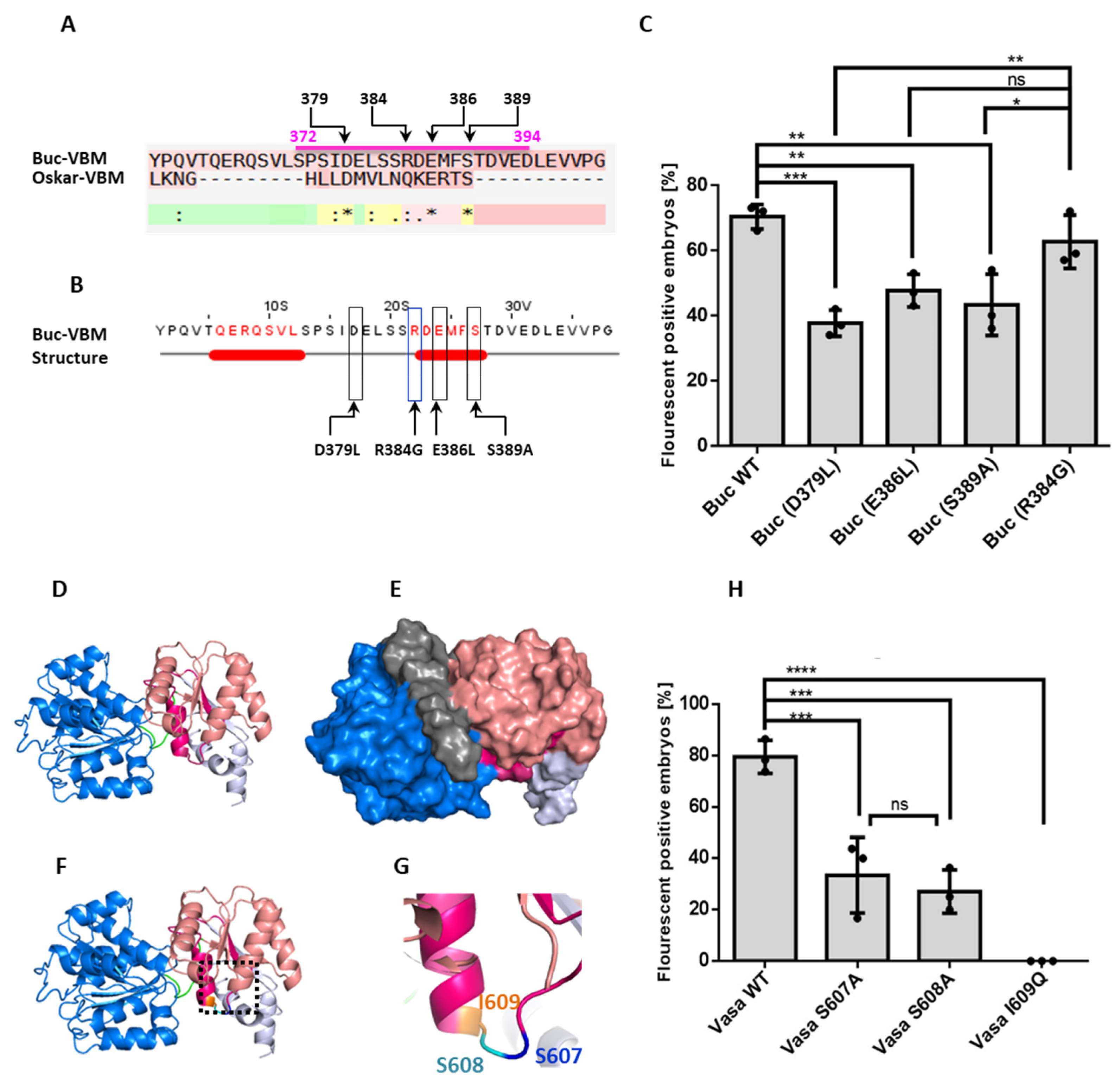 Biomolecules 11 01507 g004