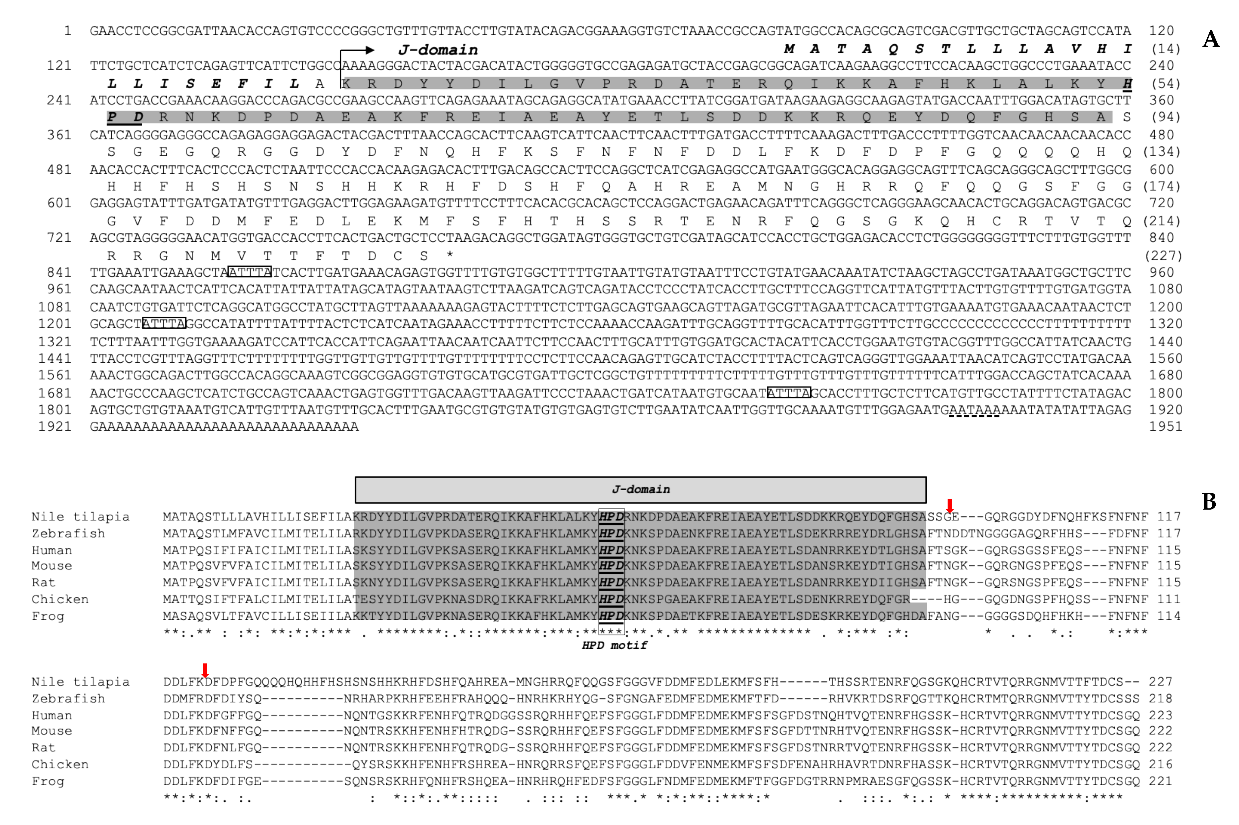 Biomolecules 11 01509 g001