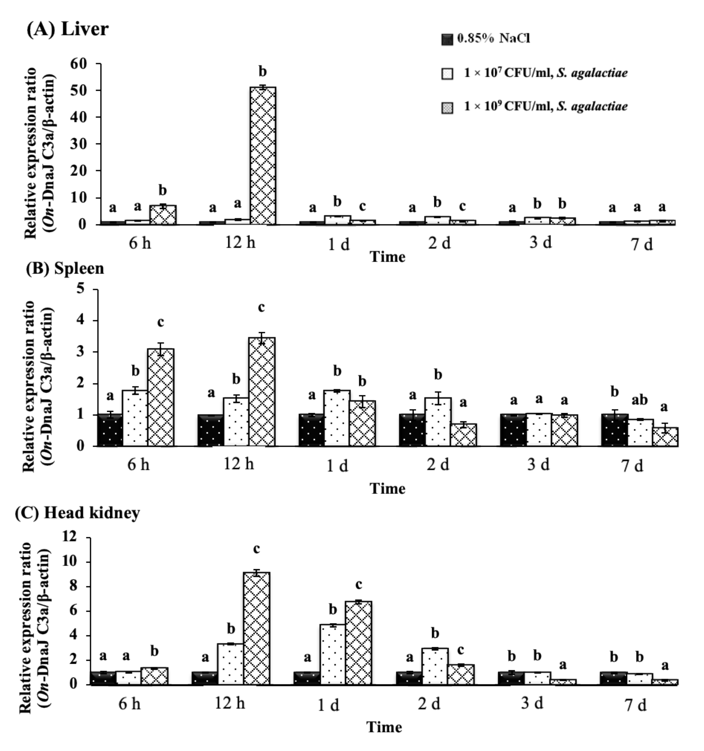 Biomolecules 11 01509 g008