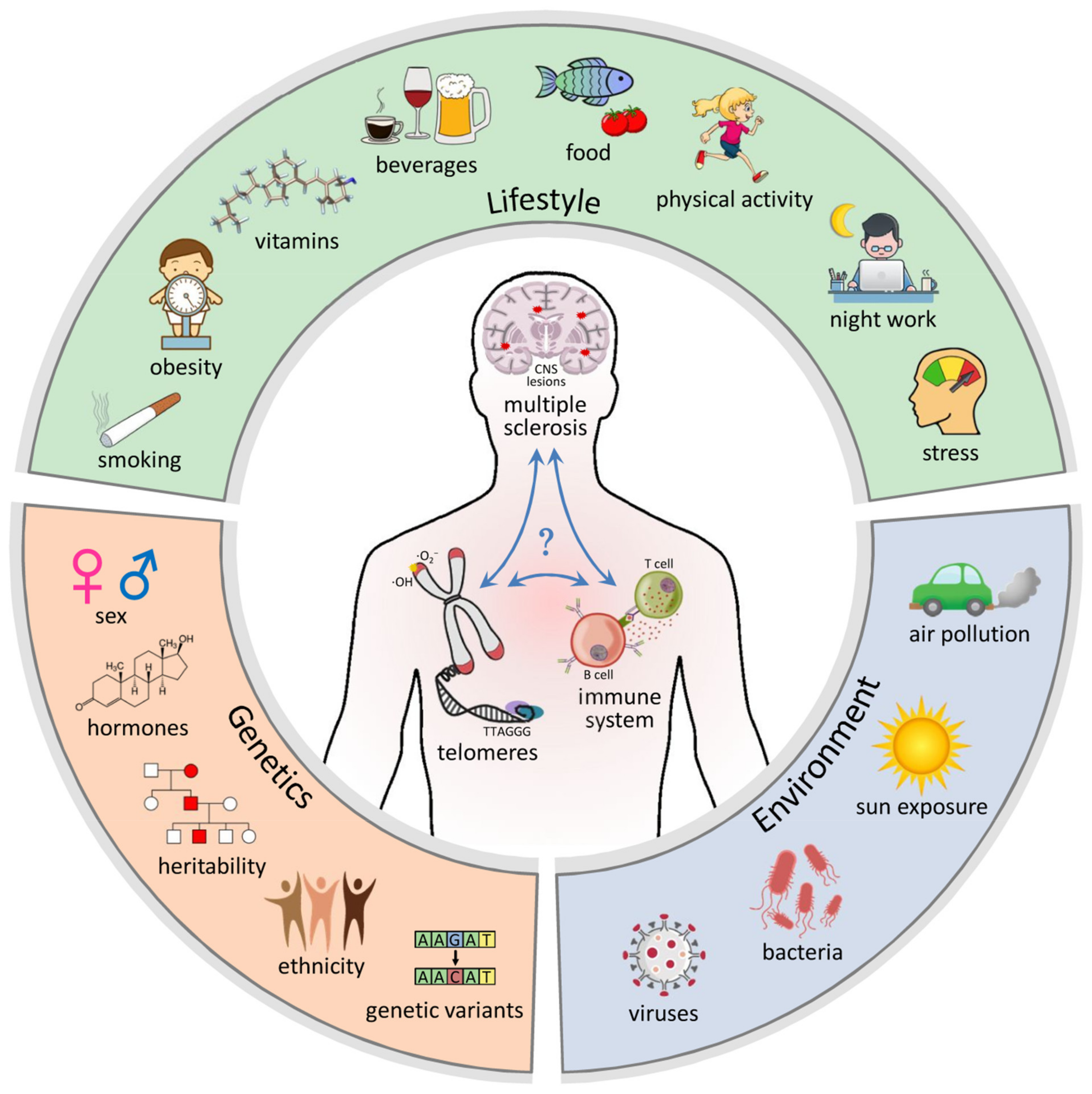 Biomolecules 11 01510 g001 Biomolecules 11 01510 g001